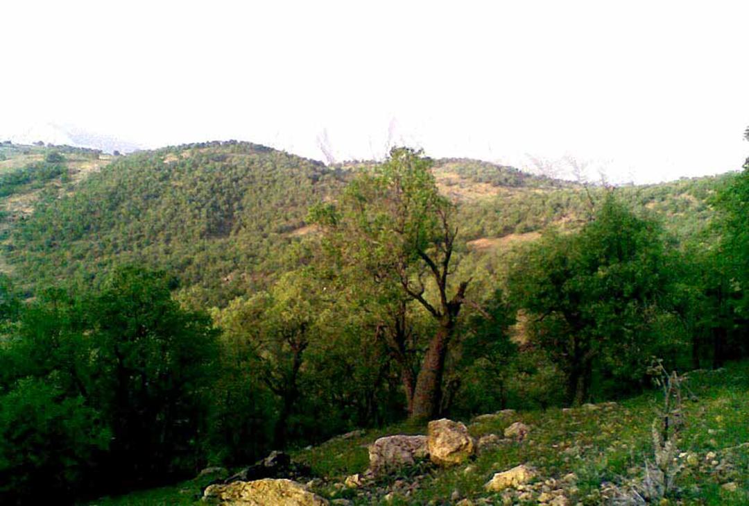 دره المون یاسوج