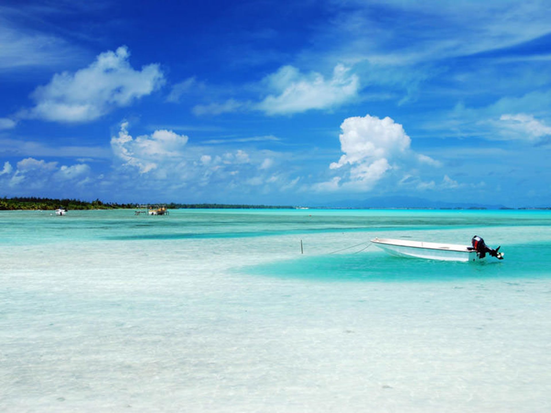Siesta Beach فلوریدا