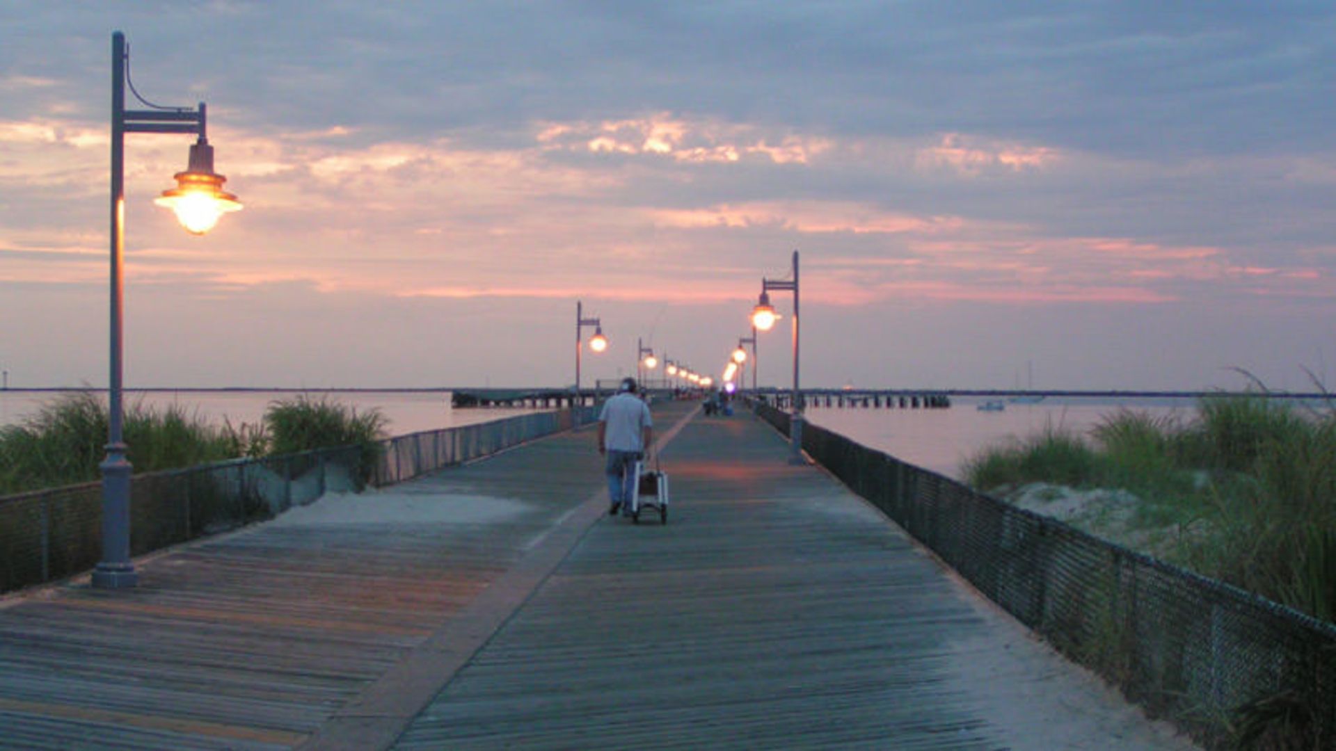 Cape Henlopen State Park جزیره در دلاور