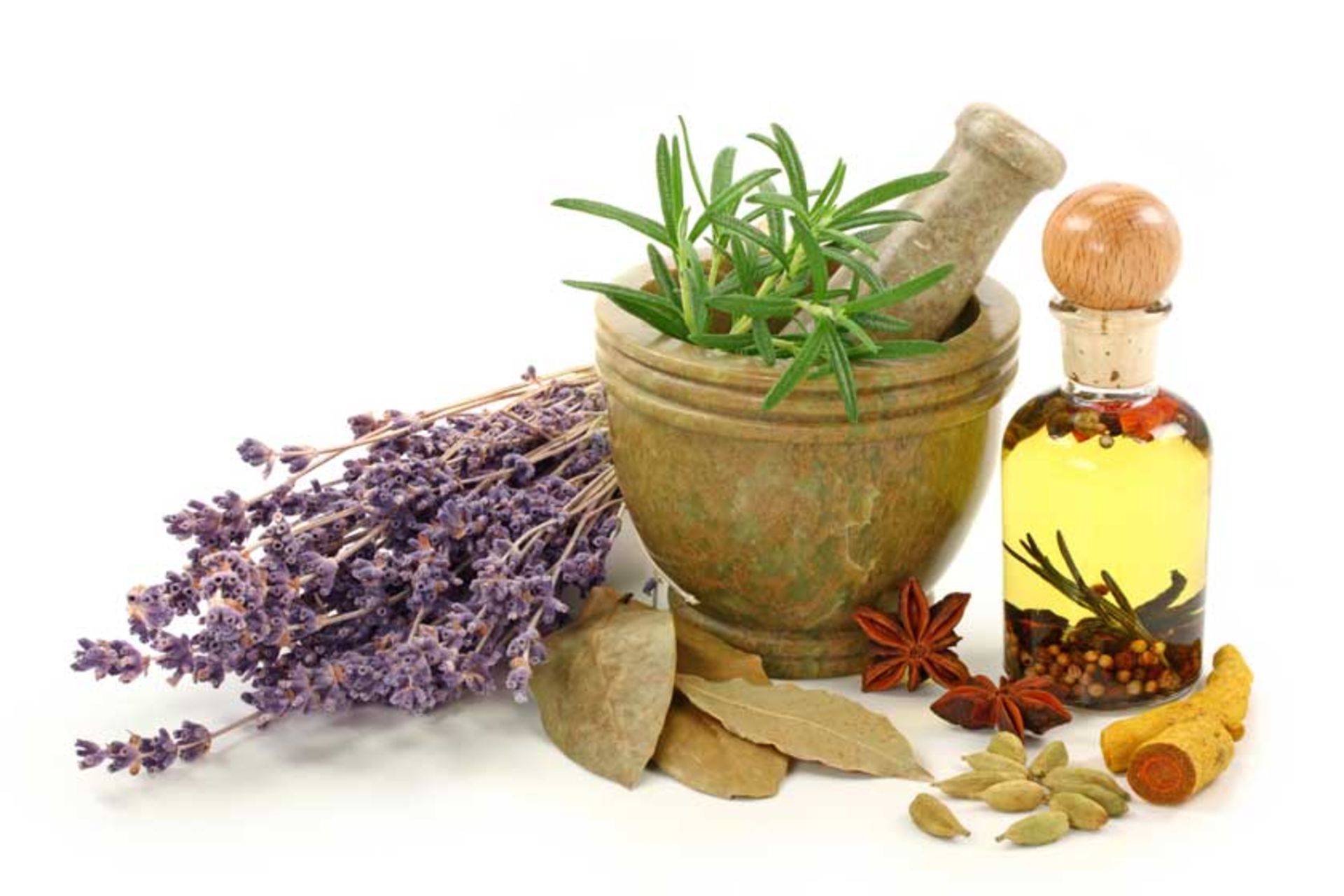 گیاهان دارویی نطنز