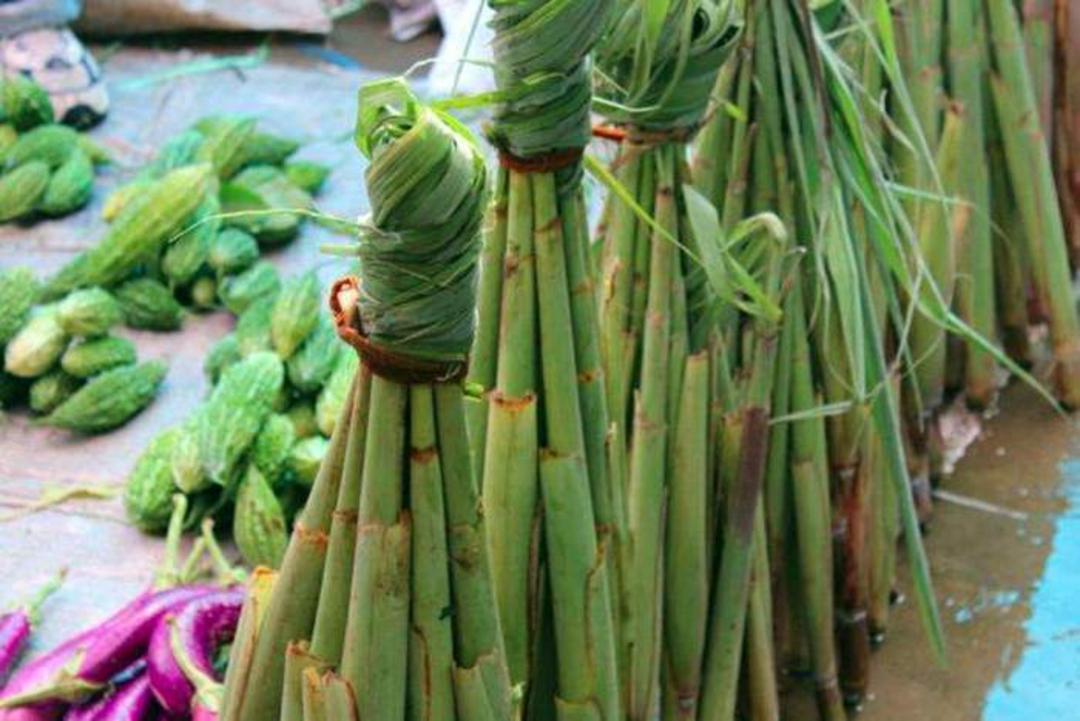 فیجی