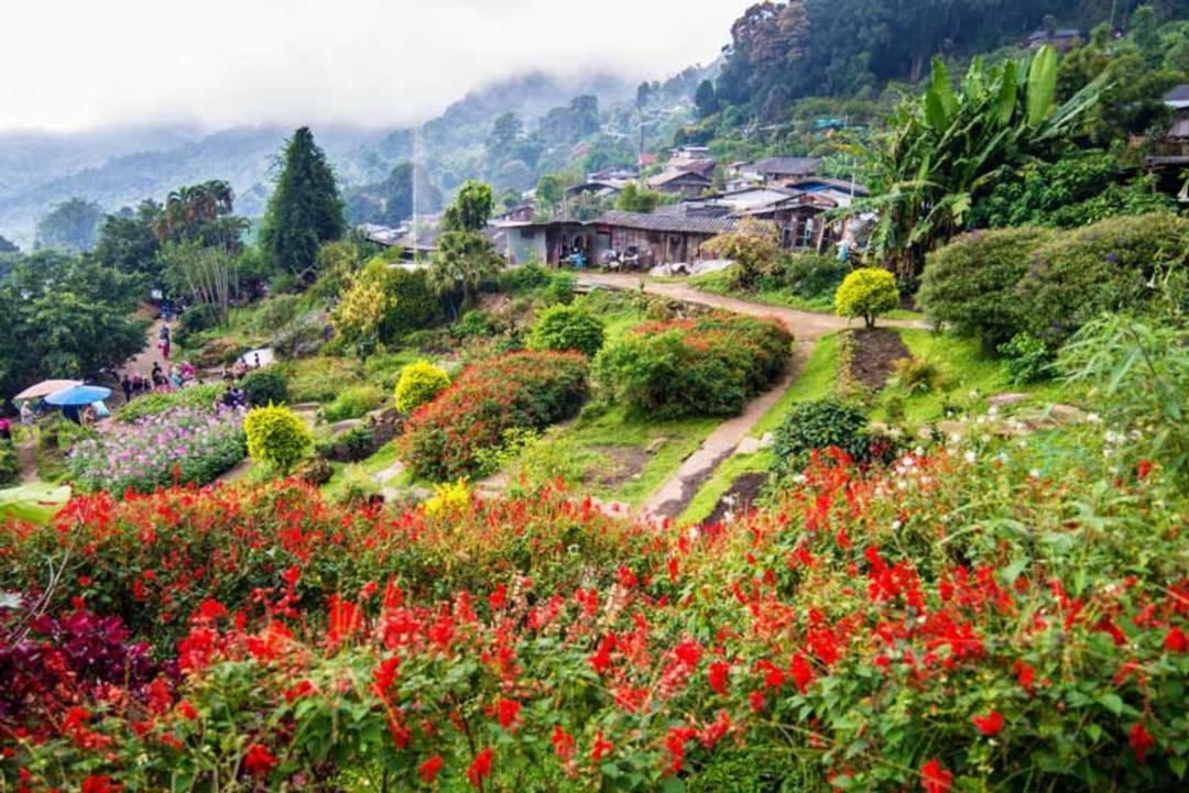 چیانگ مای تایلند