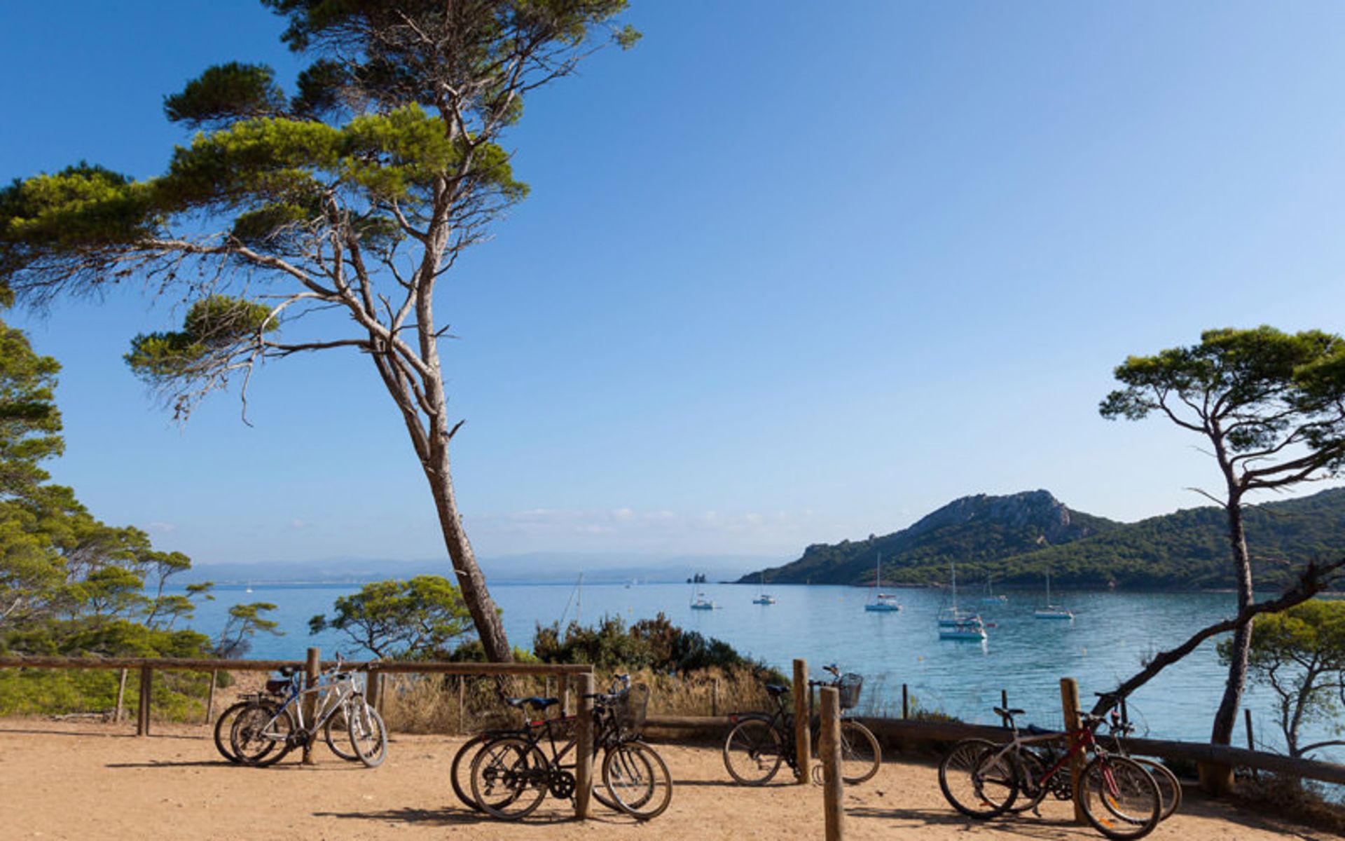 The beaches of Porquerolles فرانسه