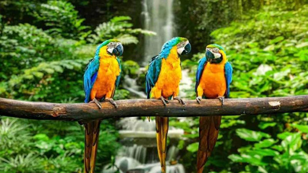 جاذبه های گردشگری پرو