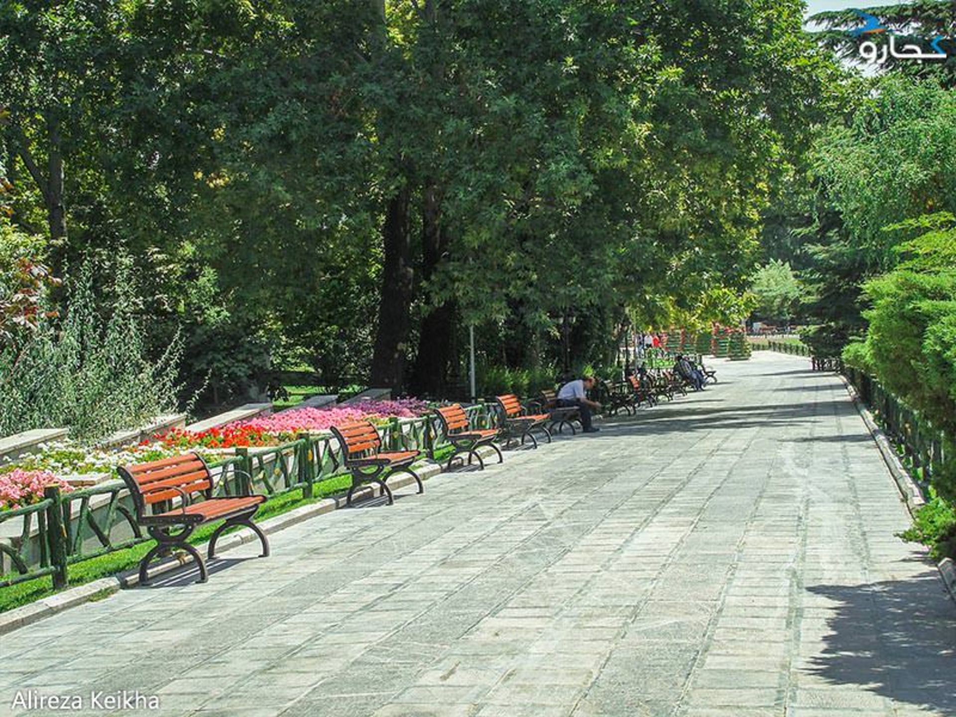 پارک ملت - گرمای هوا 
