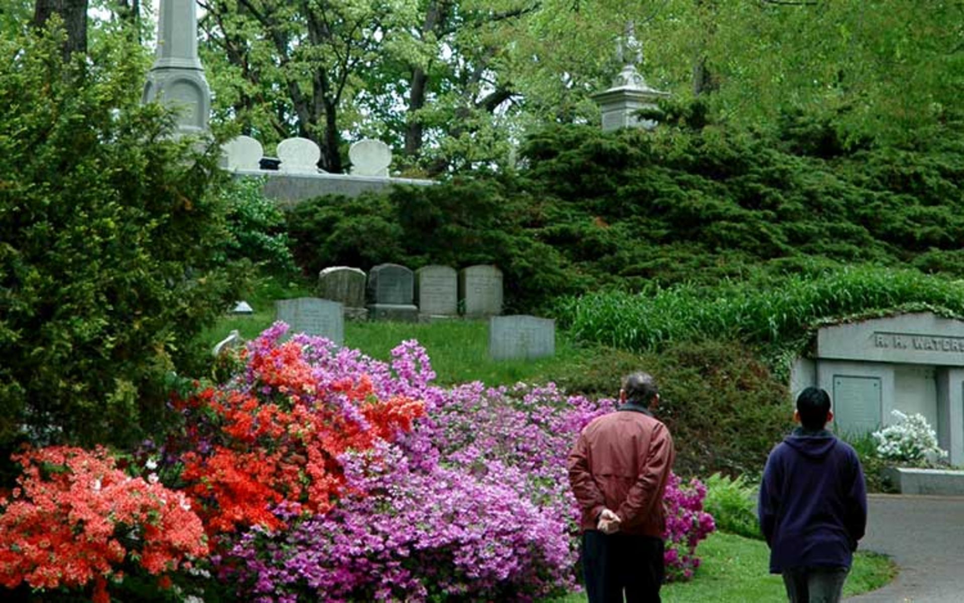 زیباترین گورستان های جهان