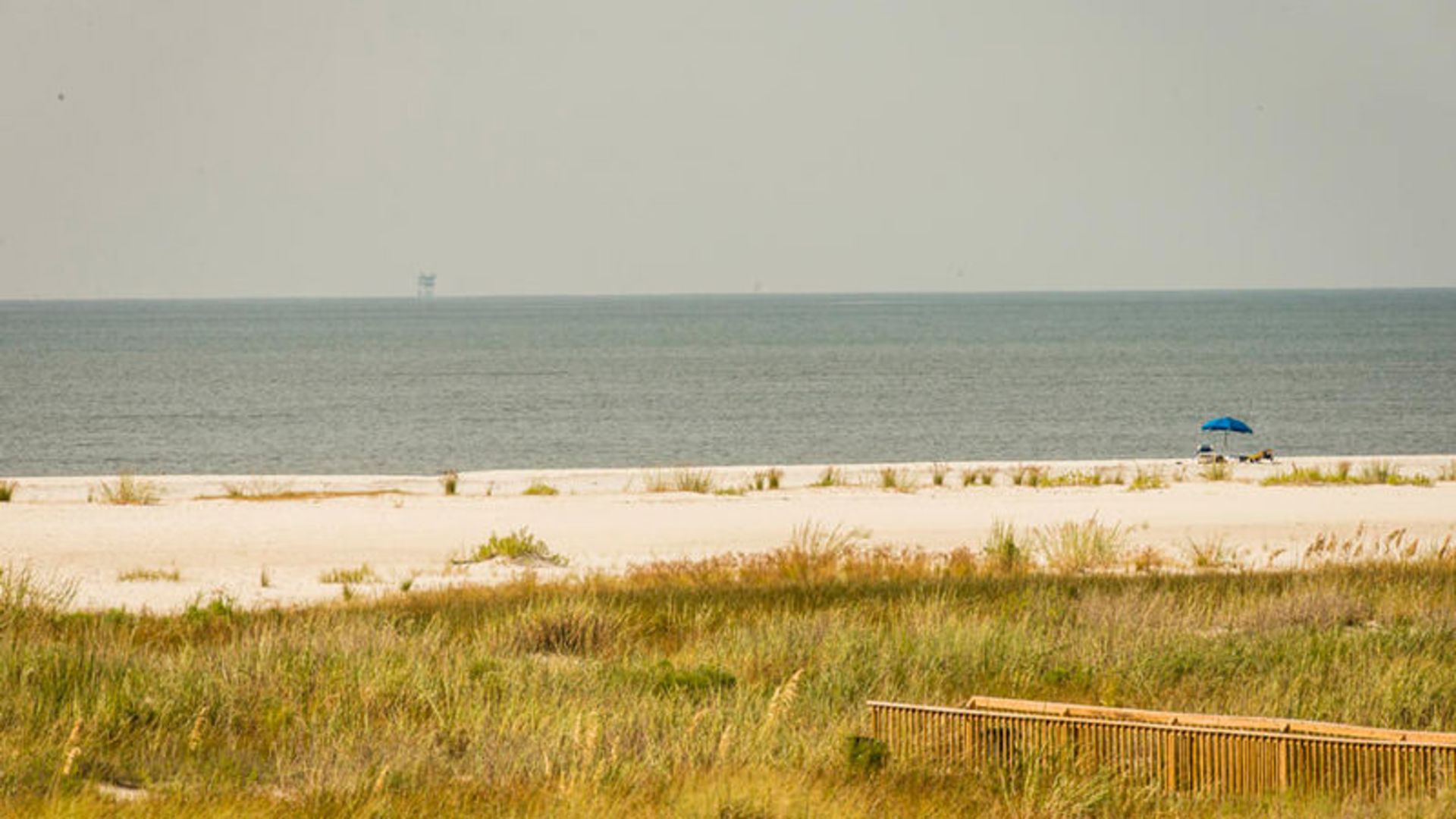 Dauphin Island 