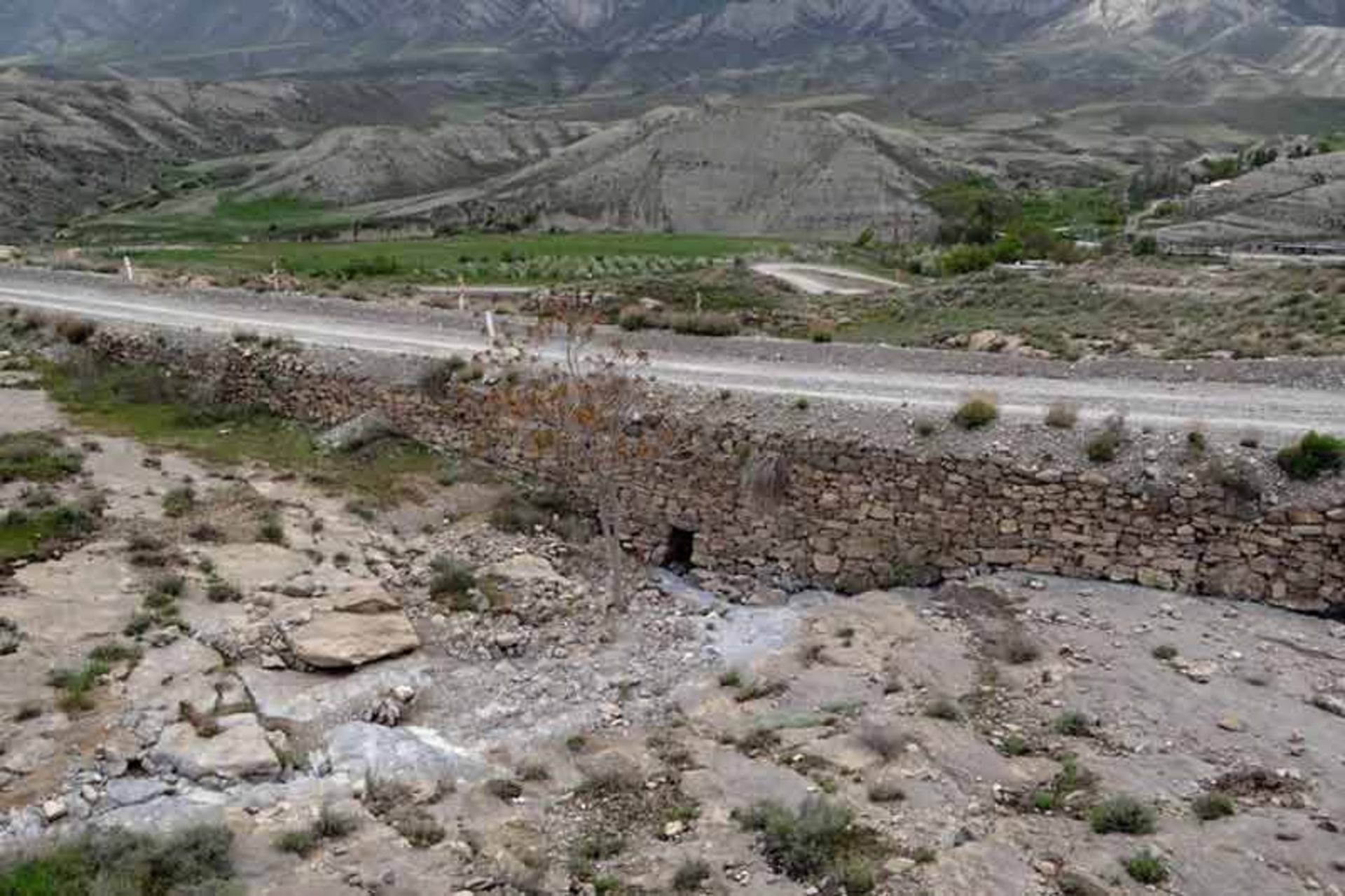 پلکان نادری