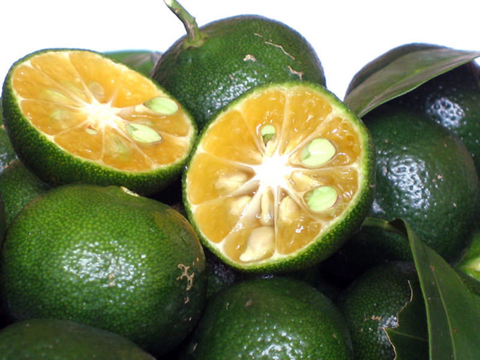 میوه بومی ژاپن