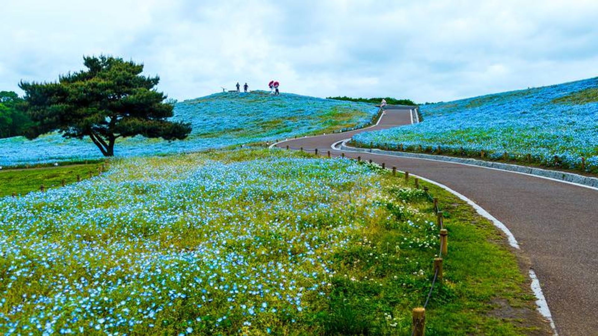 پارک ساحلی هیتاچی