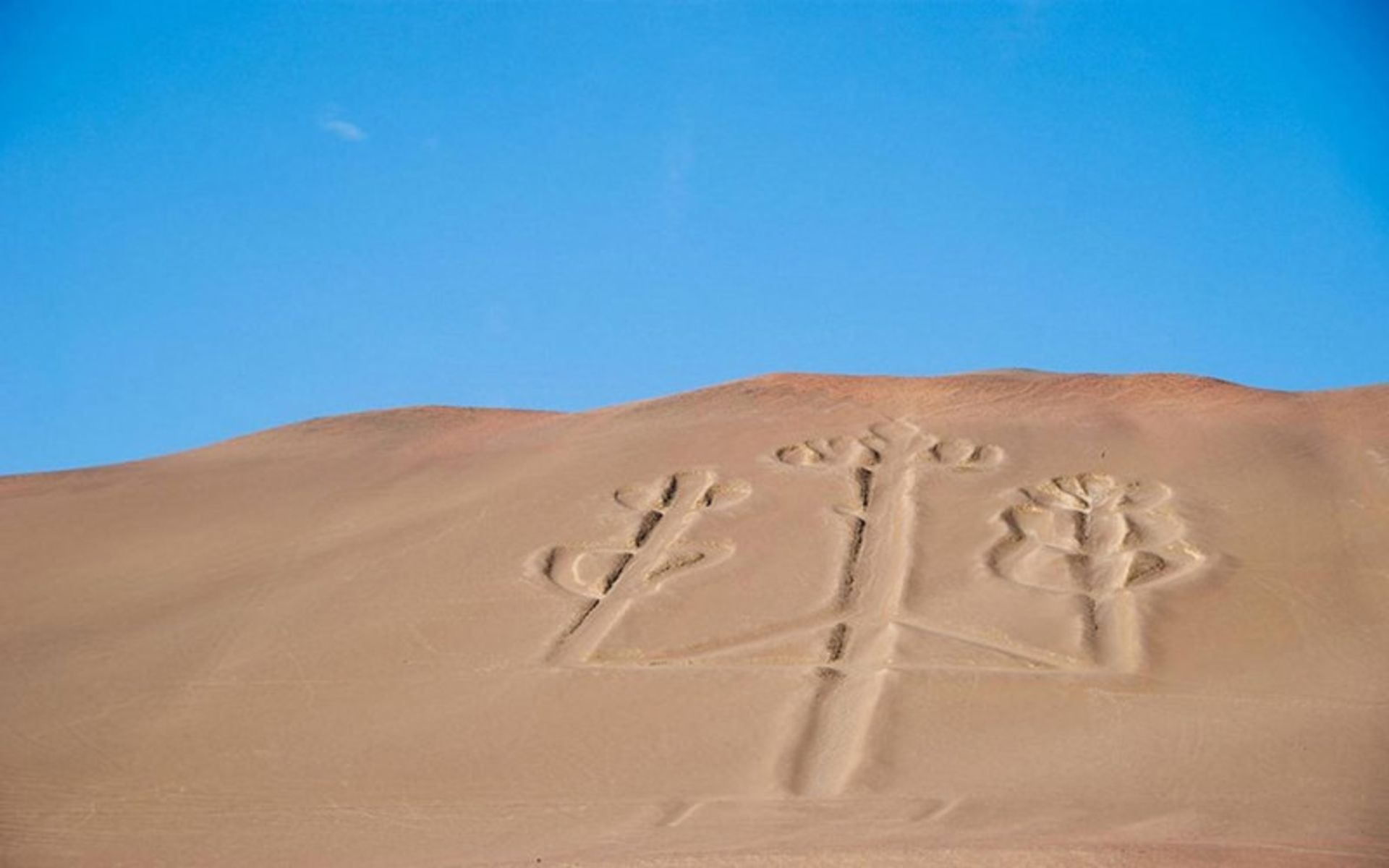 شمعدانهای پاراکاس