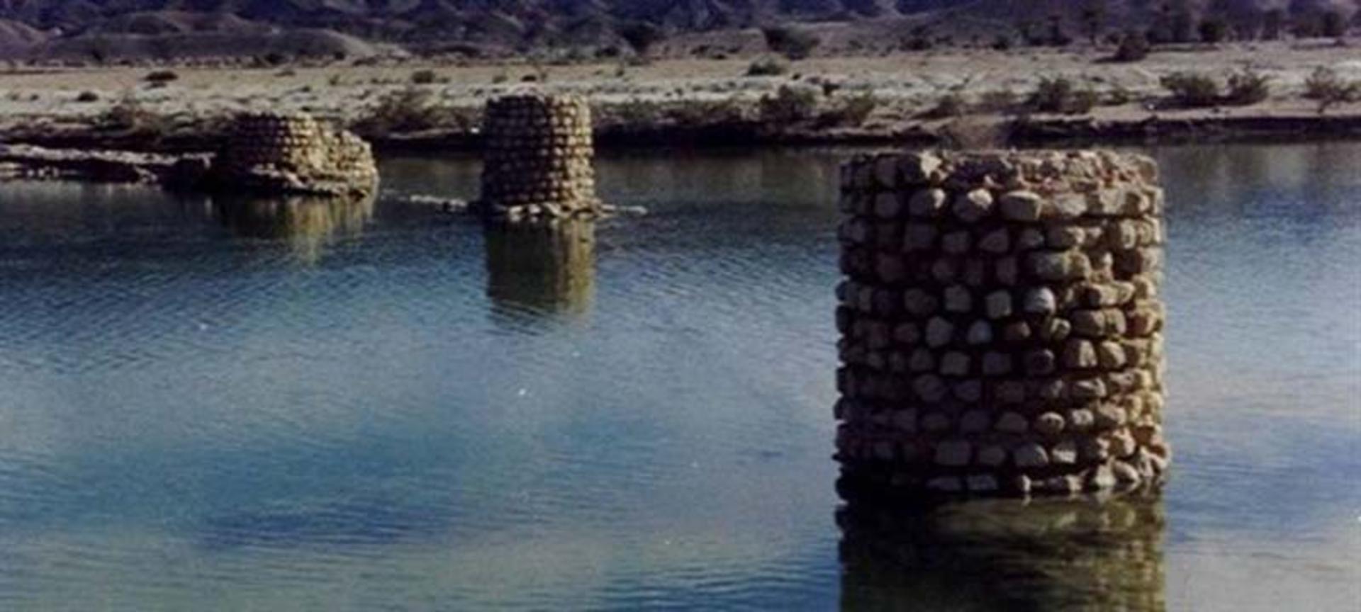 پاراو و ترنه