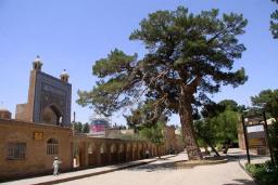 مسجد کرمانی‌