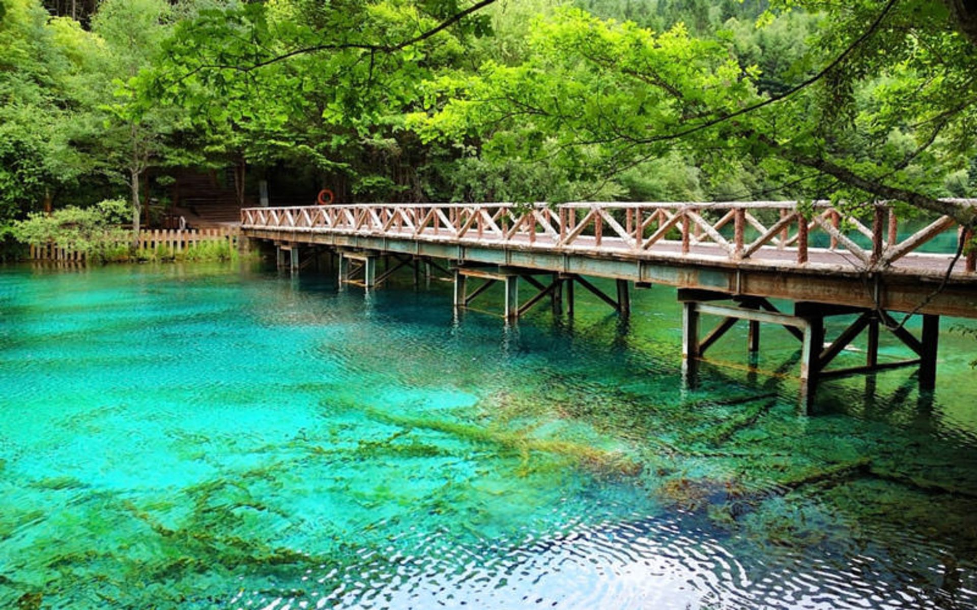 مکان هایی با زلال ترین آب- چین