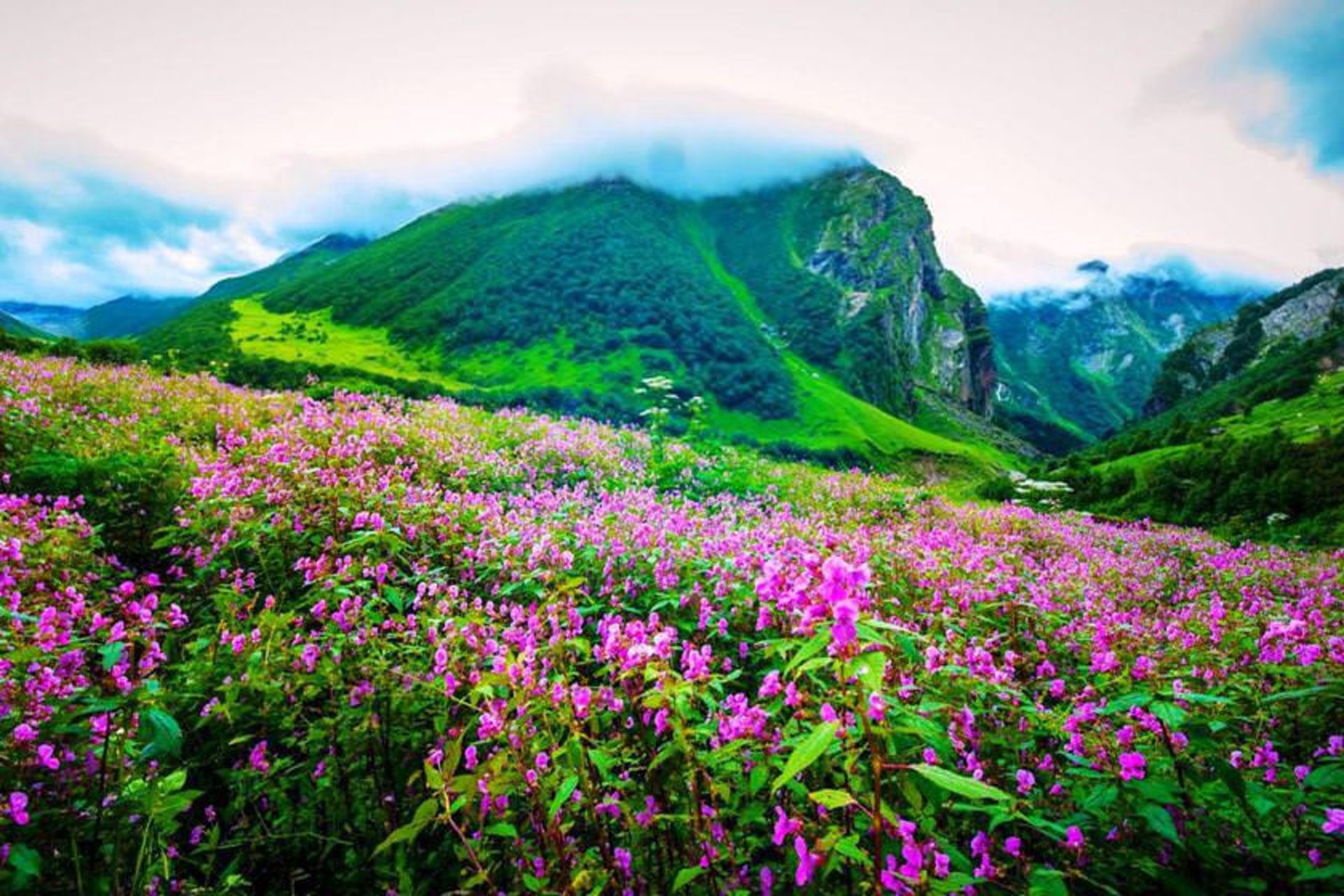 عکس های طبیعت بلغارستان