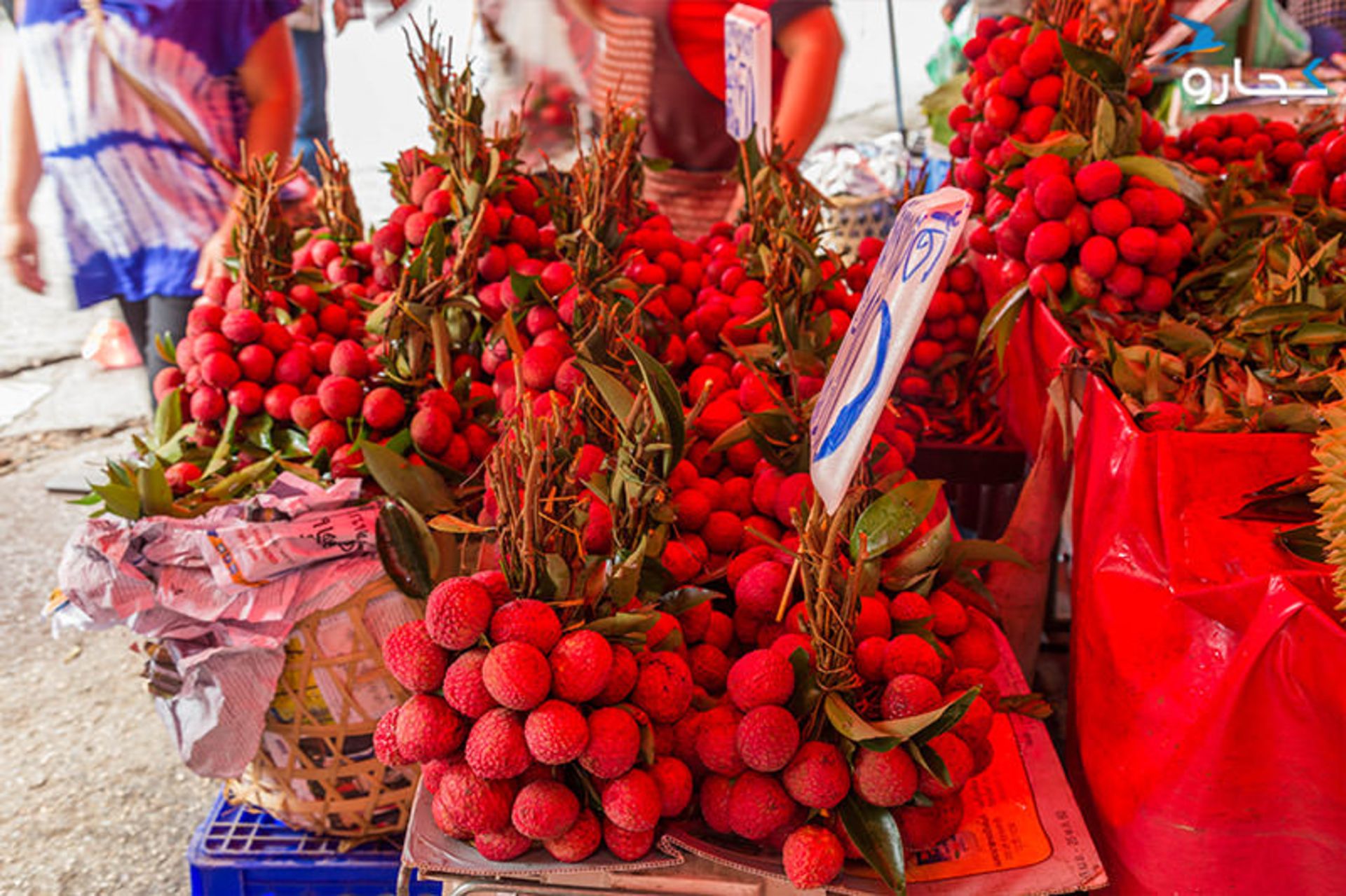 میوه تایلندی سرخالو