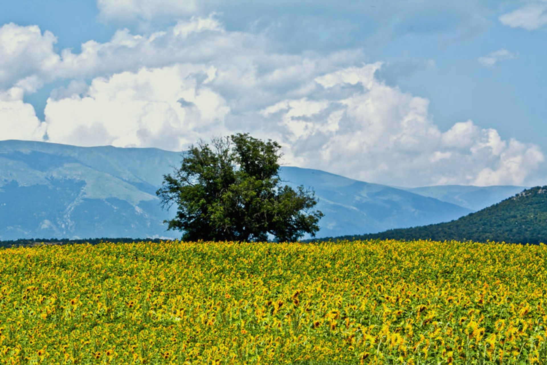 روستای پرولوم در بلغارستان