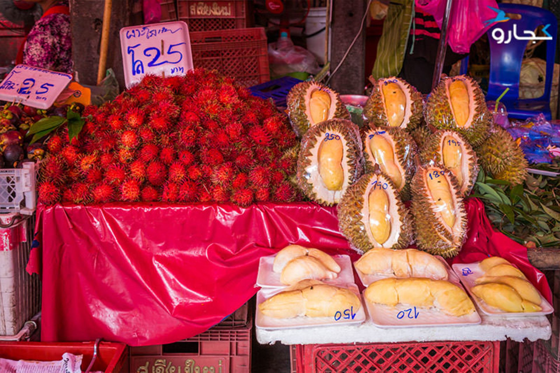 مژکی میوه تایلندی