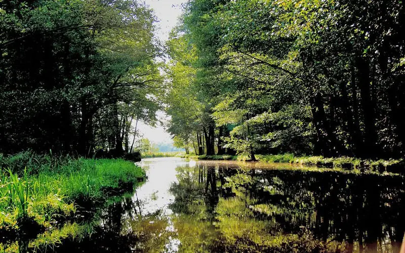 Spreewald؛ ونیز آلمان