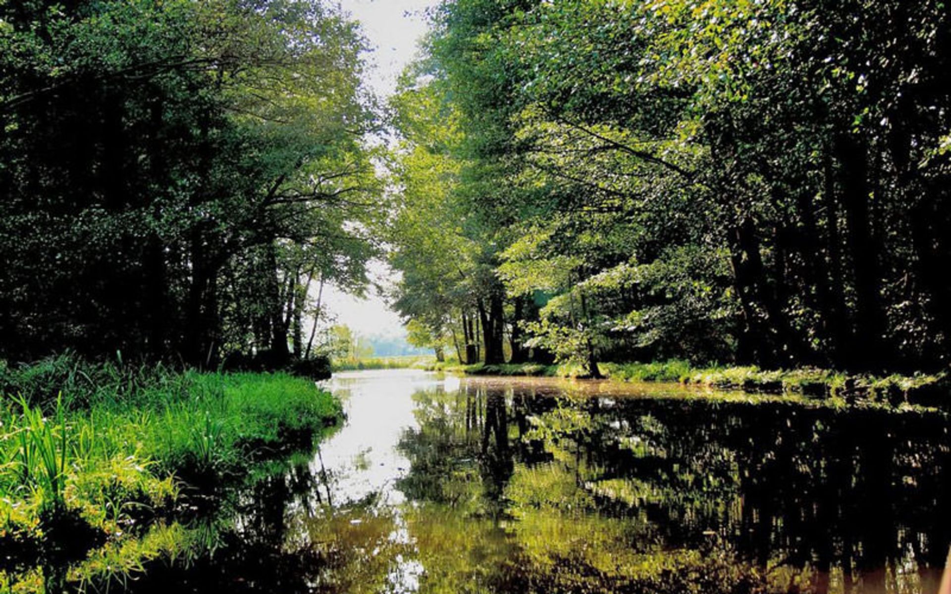 Spreewald؛ ونیز آلمان
