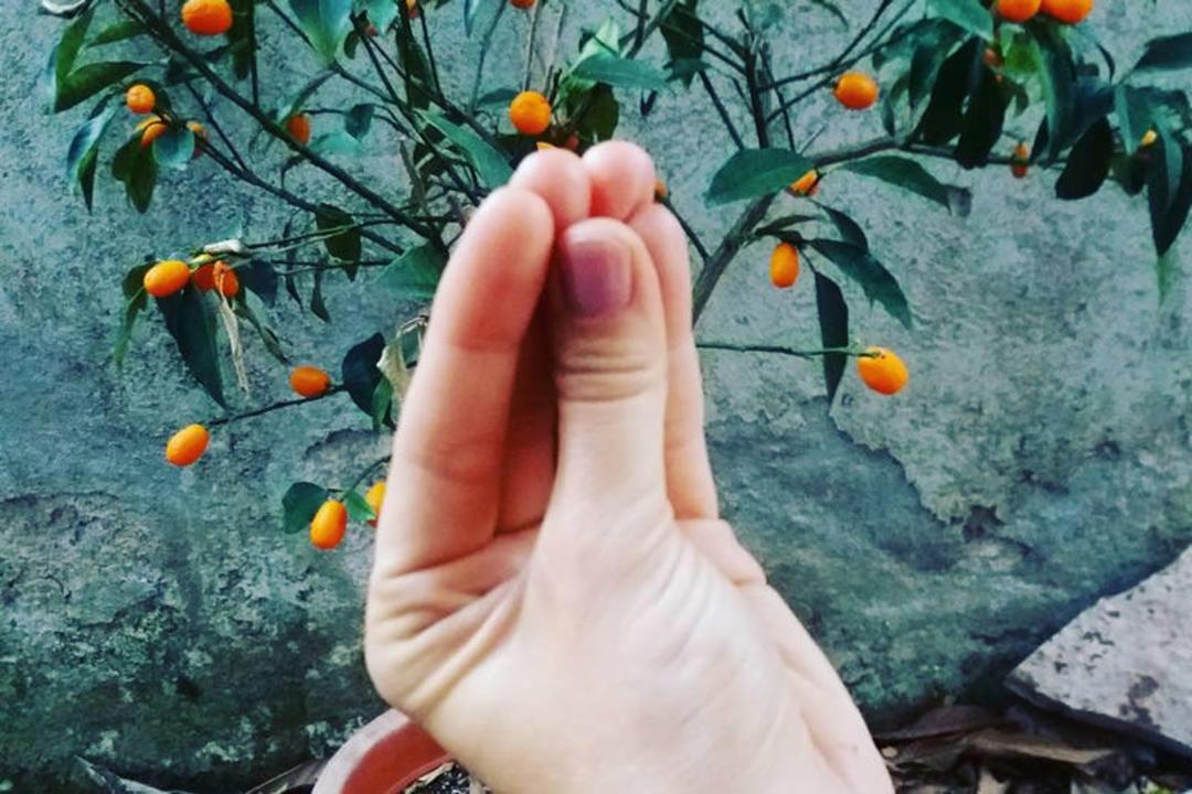 زبان رم