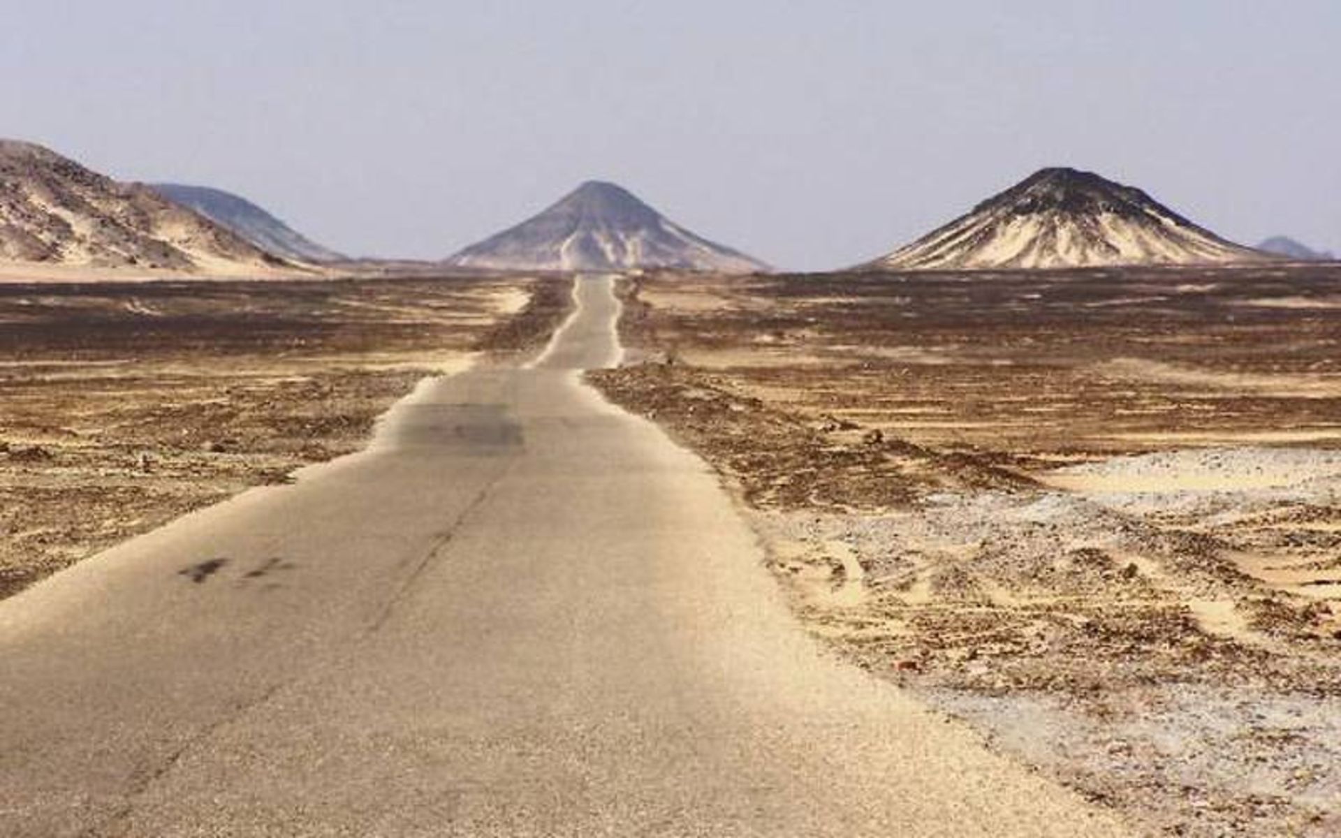 مصر