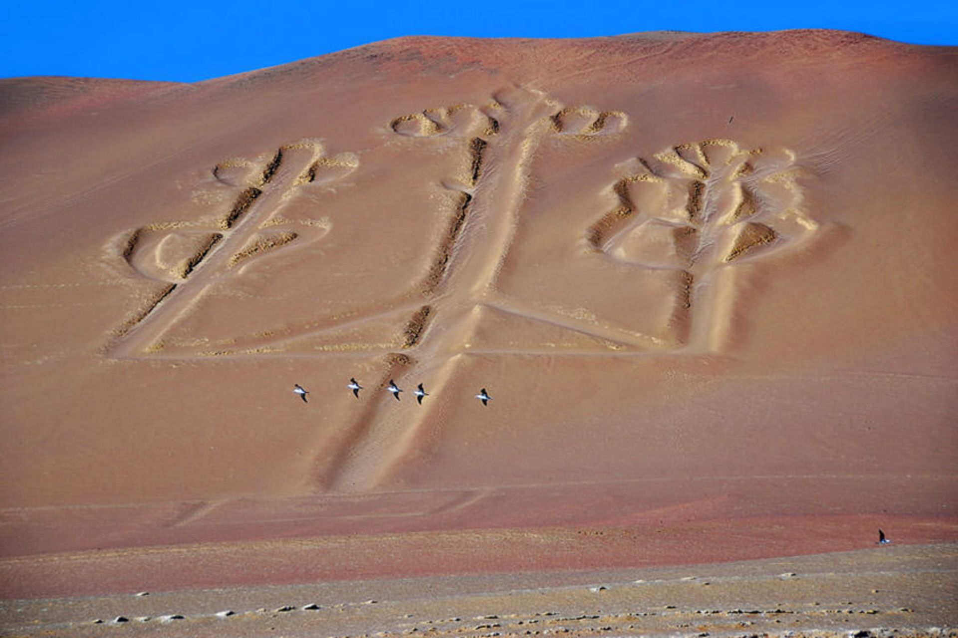 شمعدانهای پاراکاس