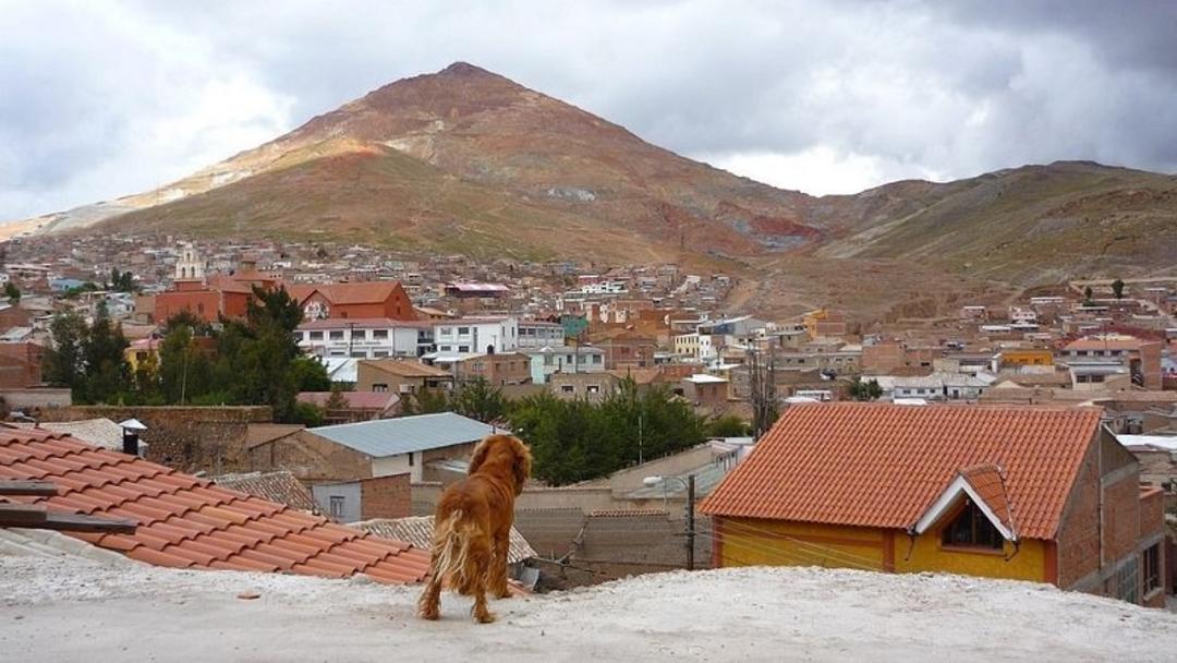 کوه سرو ریکو