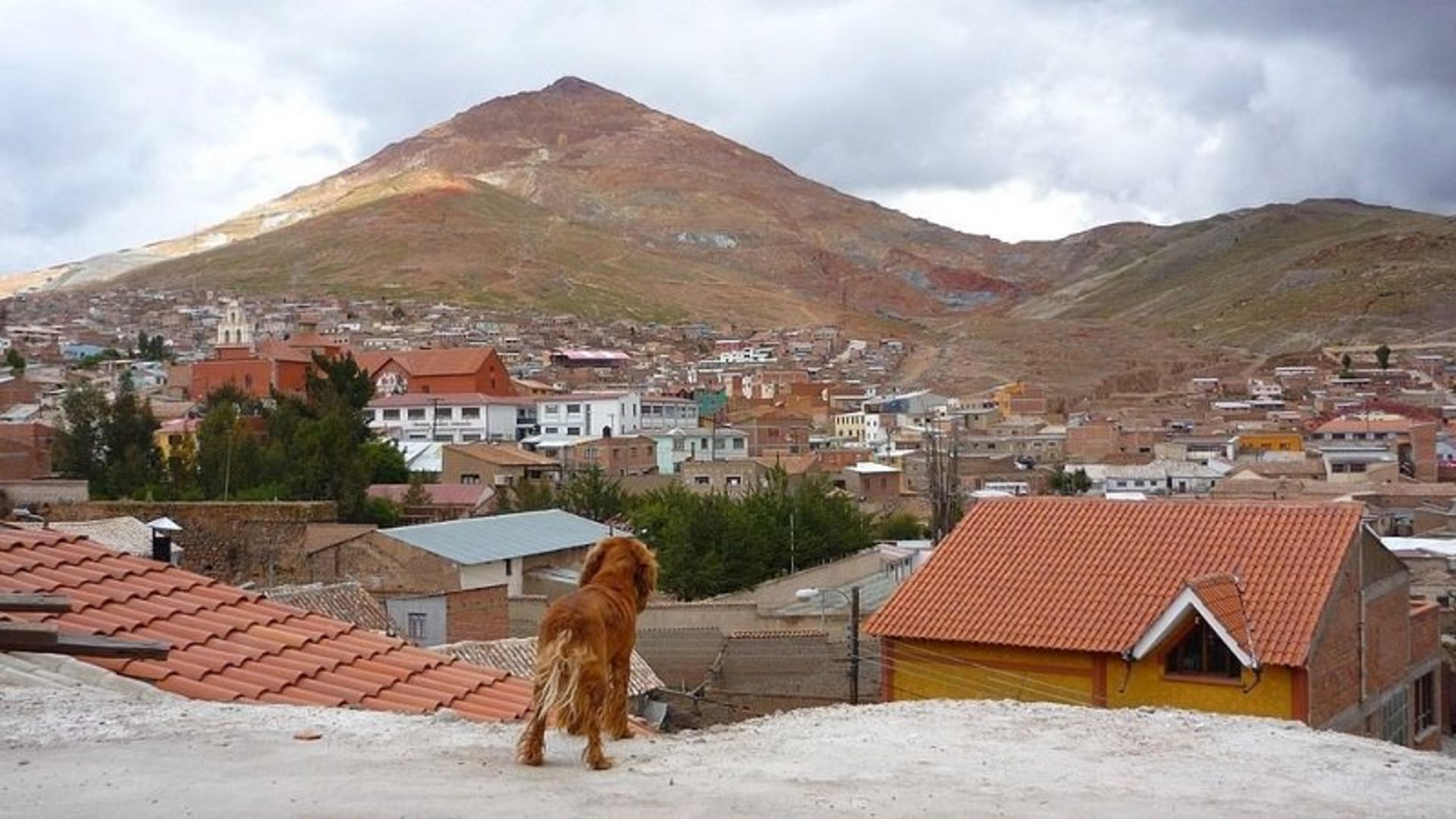 کوه سرو ریکو