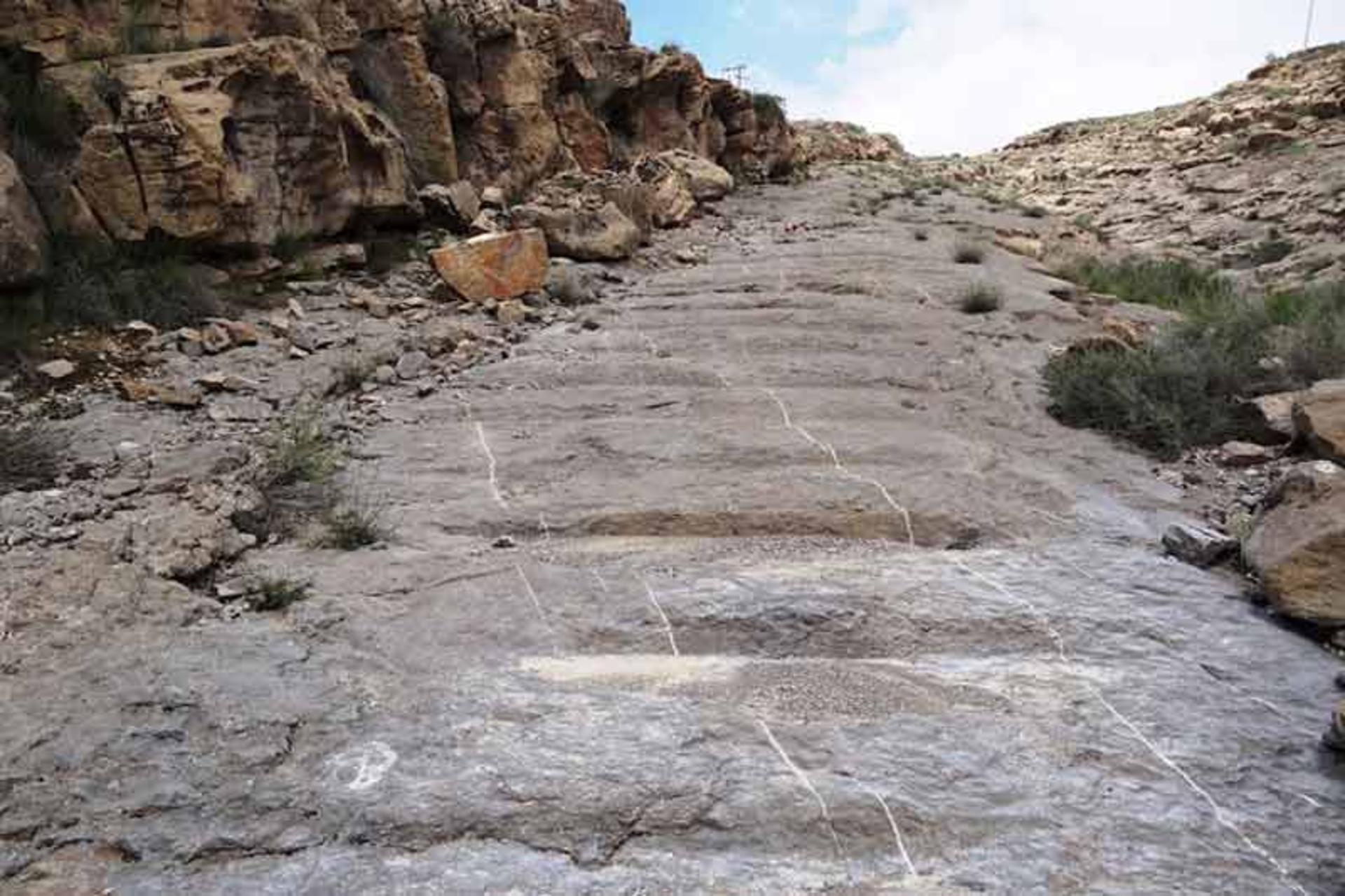 پلکان نادری
