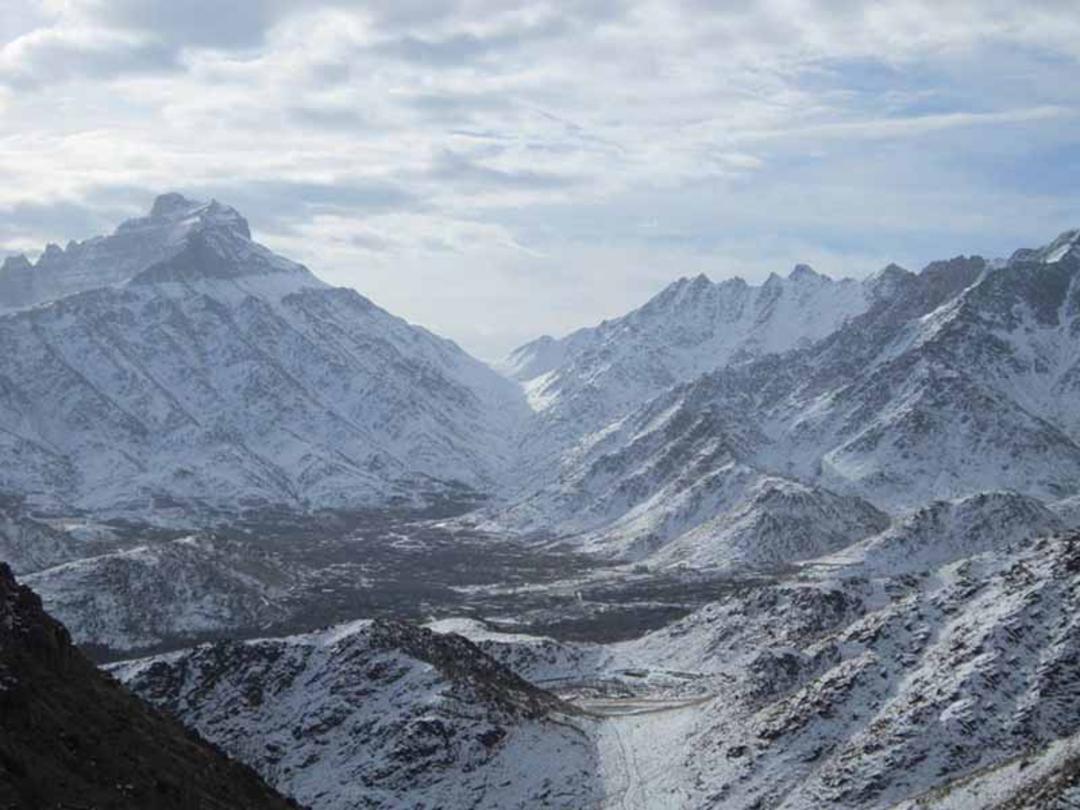 شیرکوه