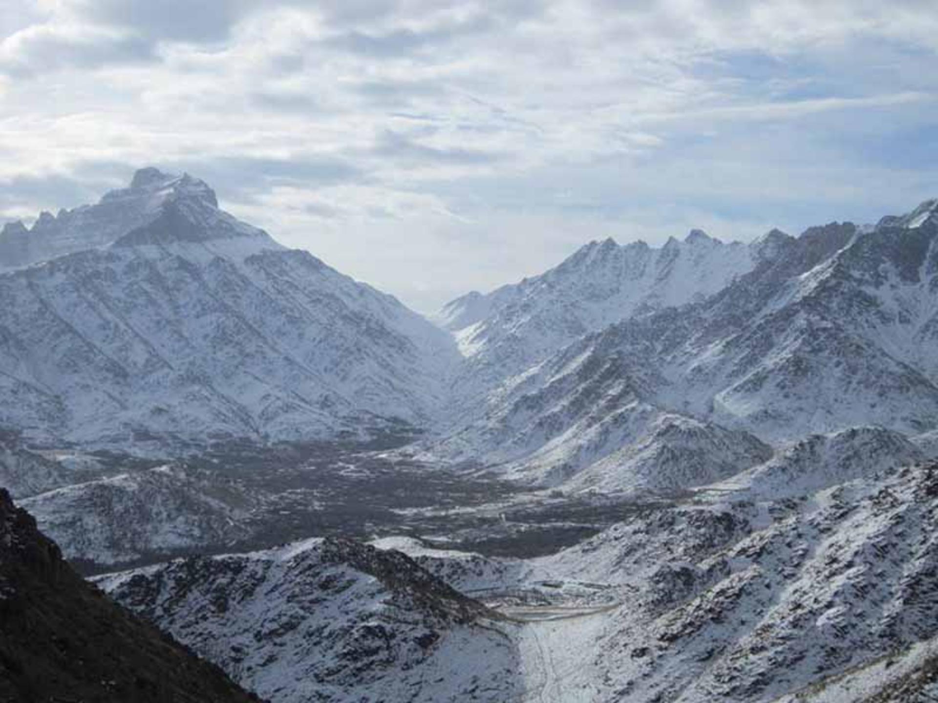 شیرکوه