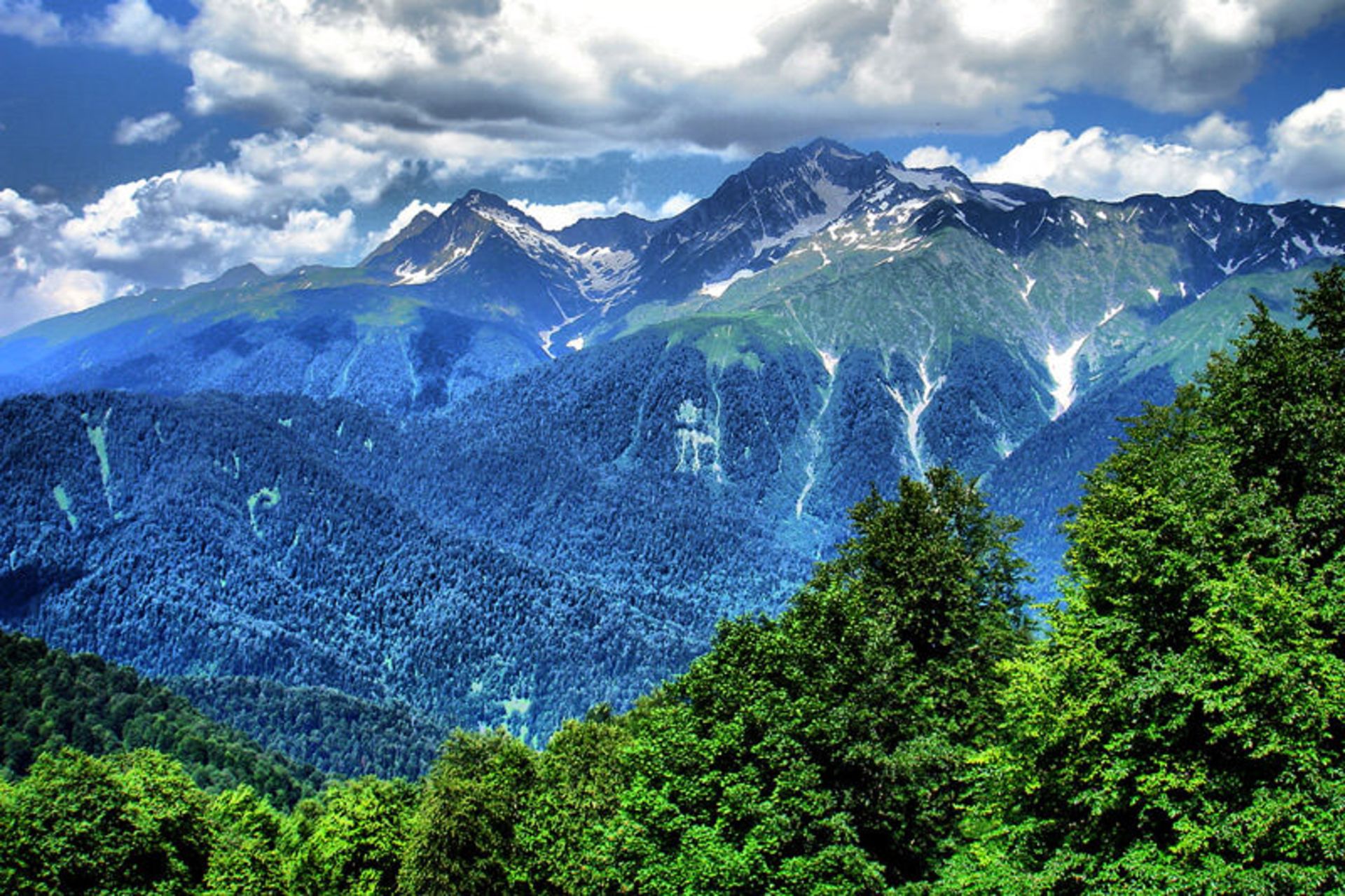 طبیعت سوچی