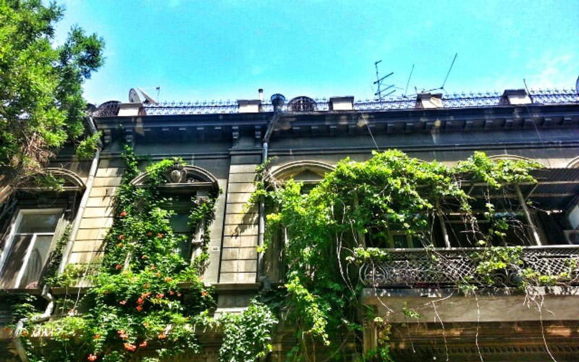 هتل باکو پلس (Baku Palace Hotel)- هتل ارزان باکو