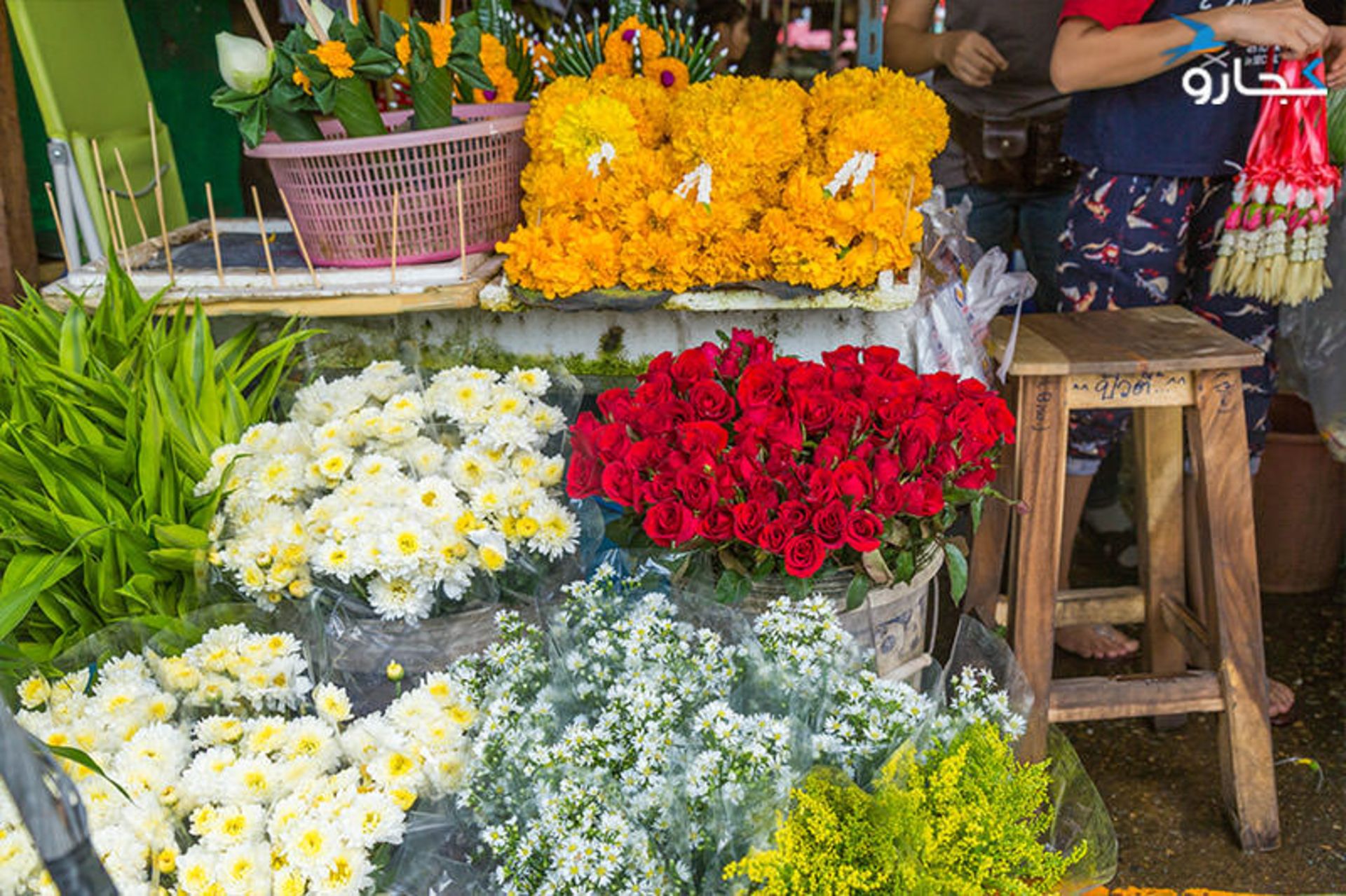 بازار گل واروروت چیانگ مای