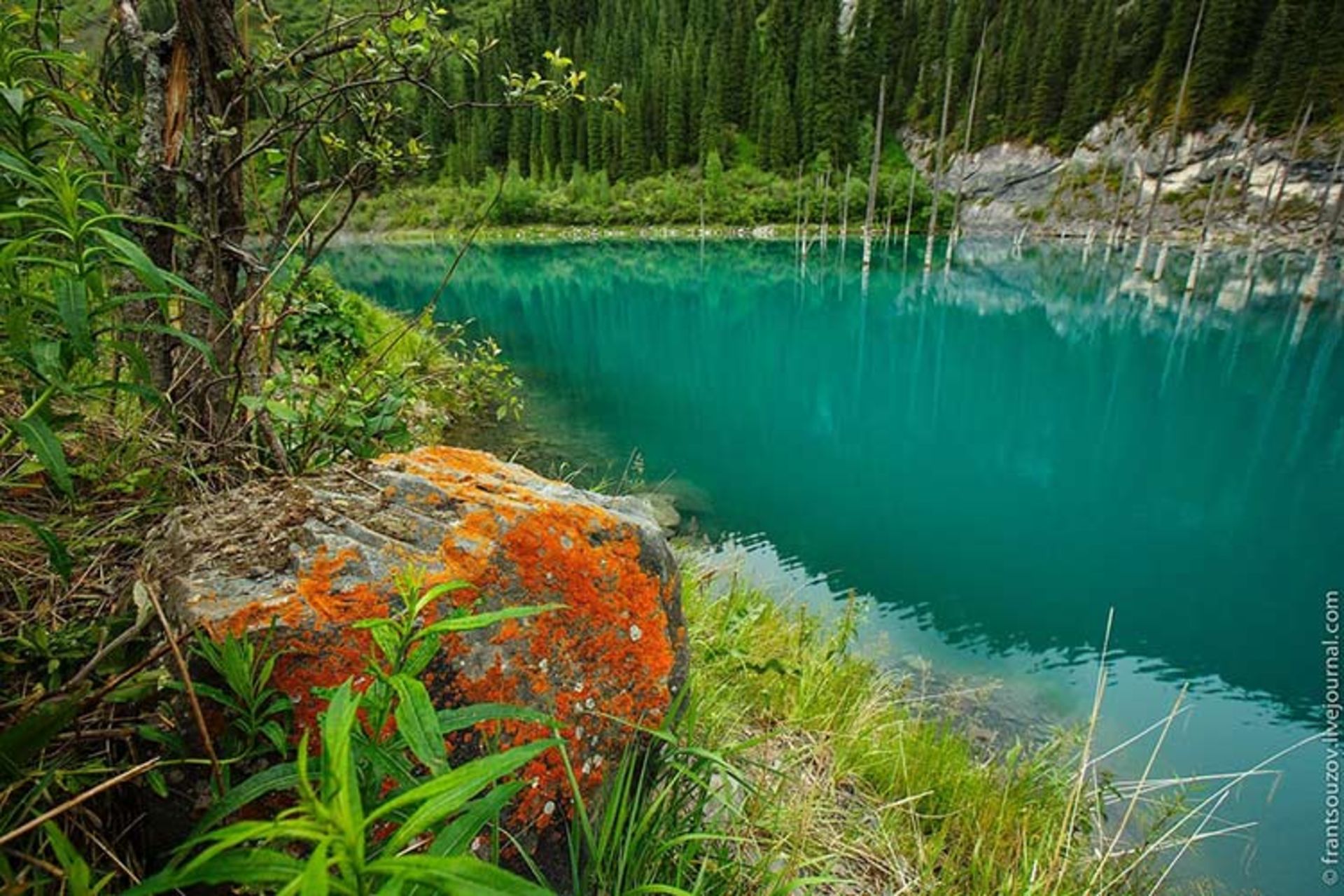 دریاچه درختان غرق شده در نزدیکی شهر آلماتی قزاقستان