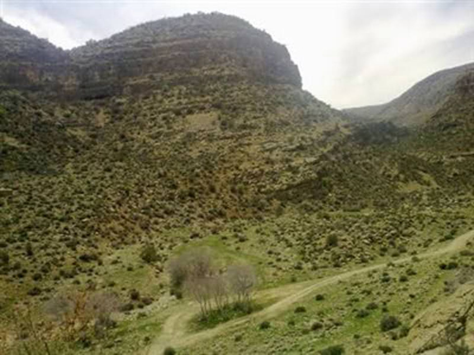 کوه سبز پوشان