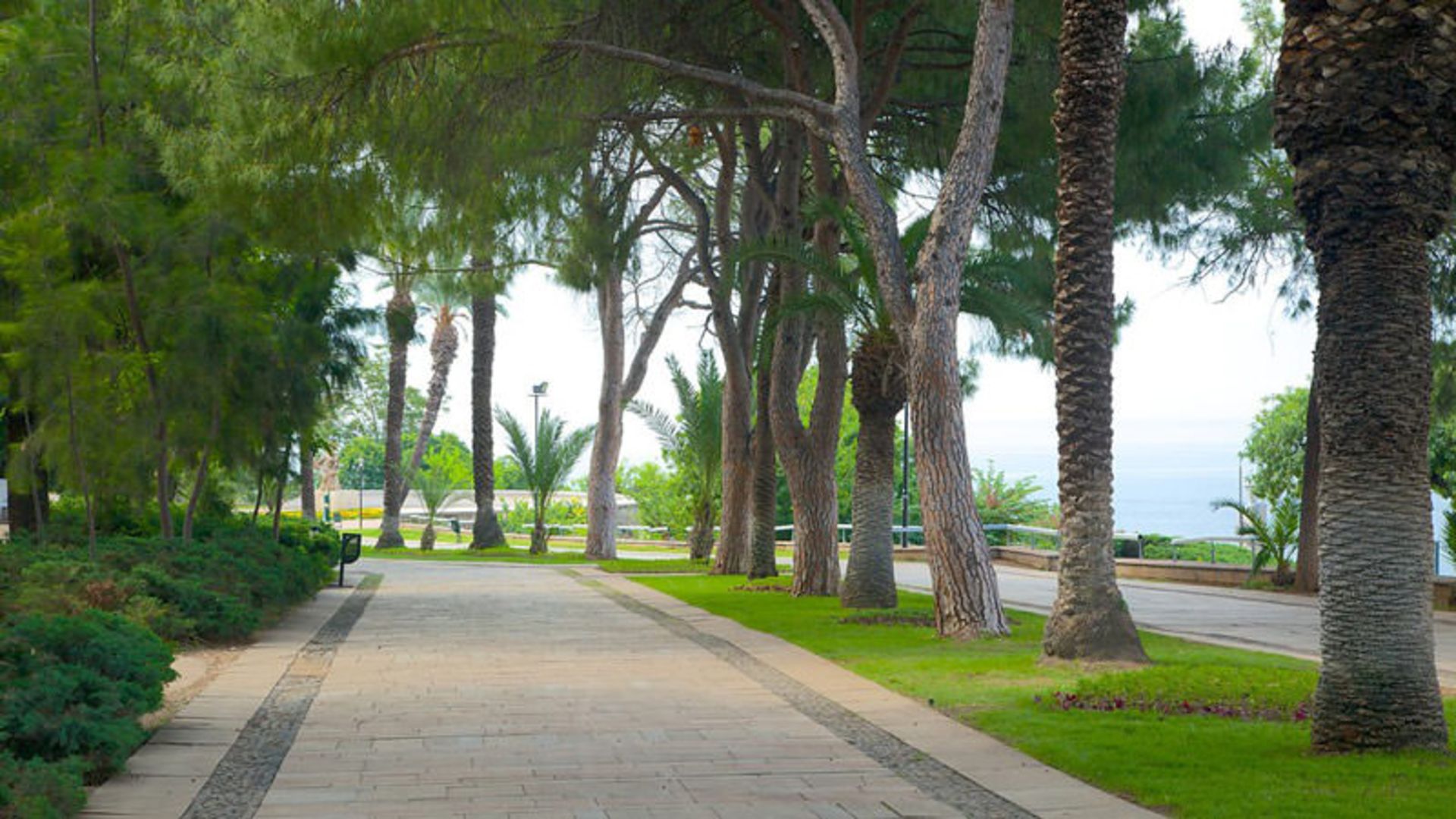 پارک کارالیوگلو
