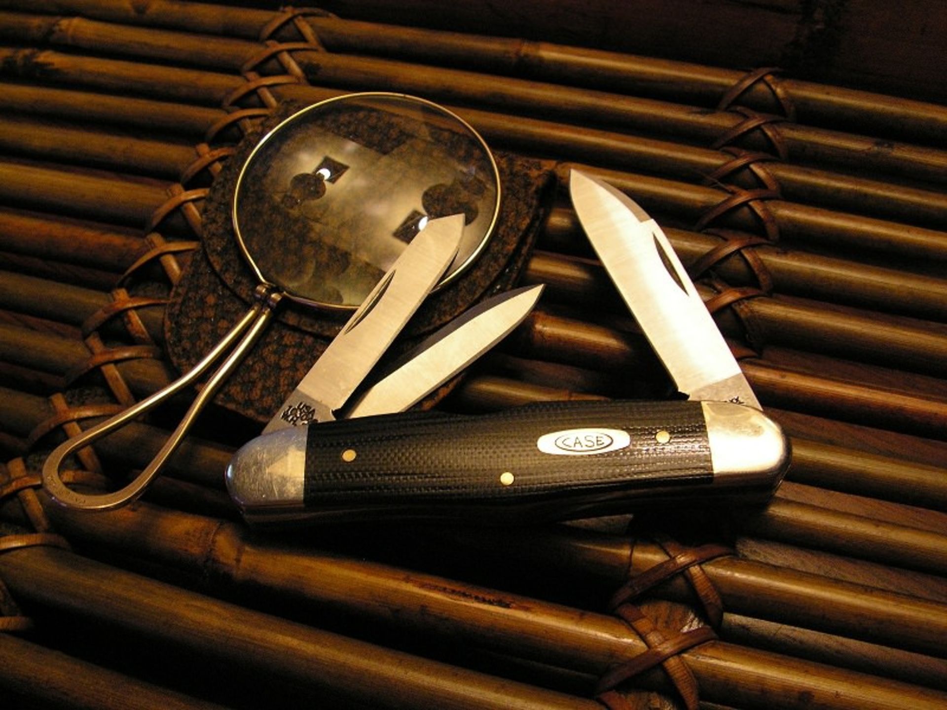 وسایل سافاری