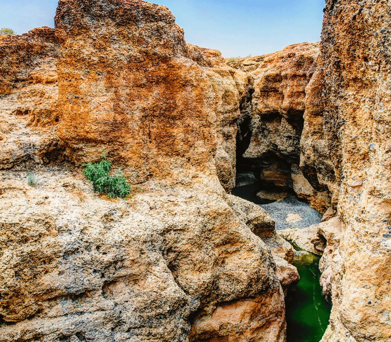 بیابان سسرییم