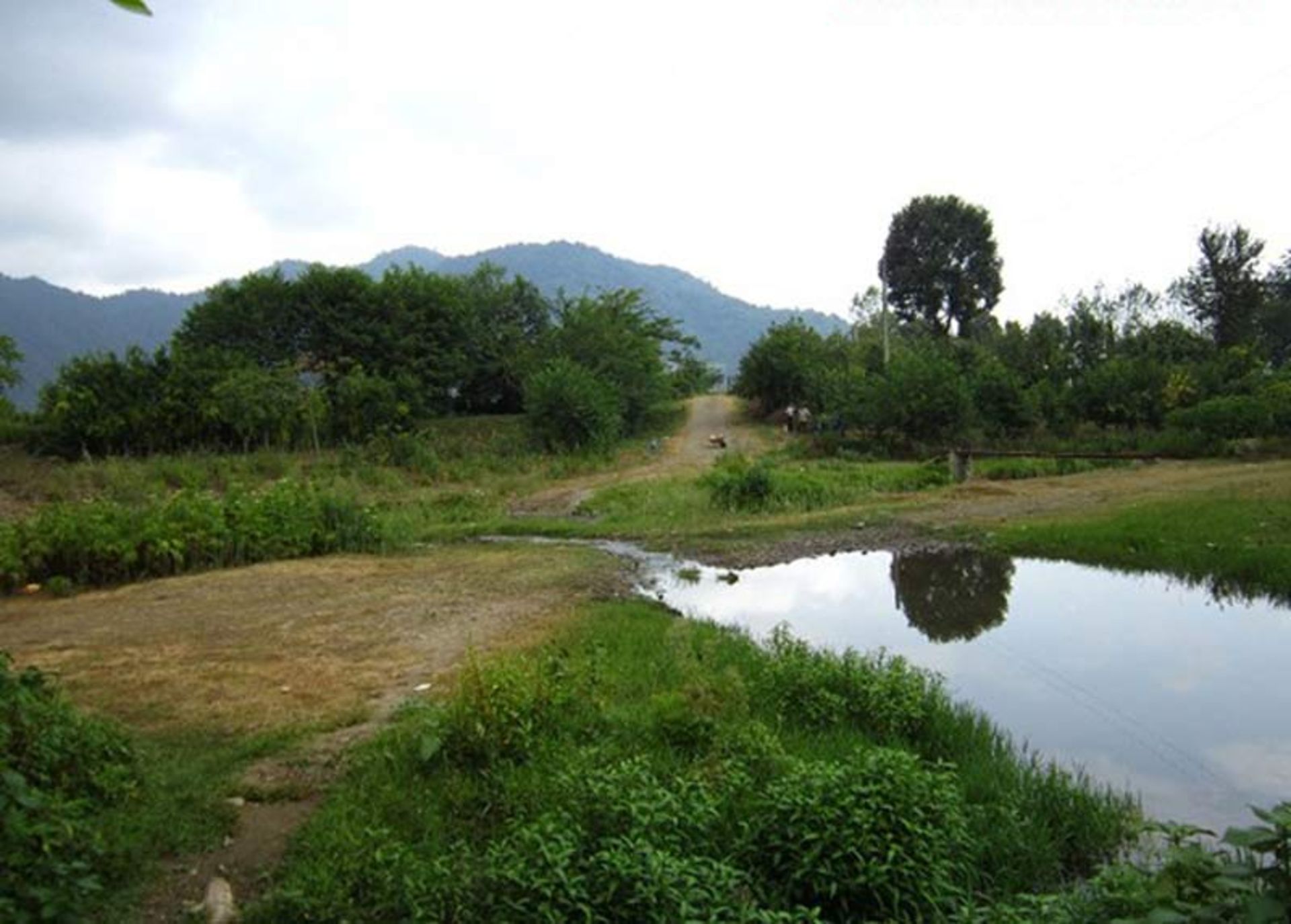 رودخانه پلنگ ور
