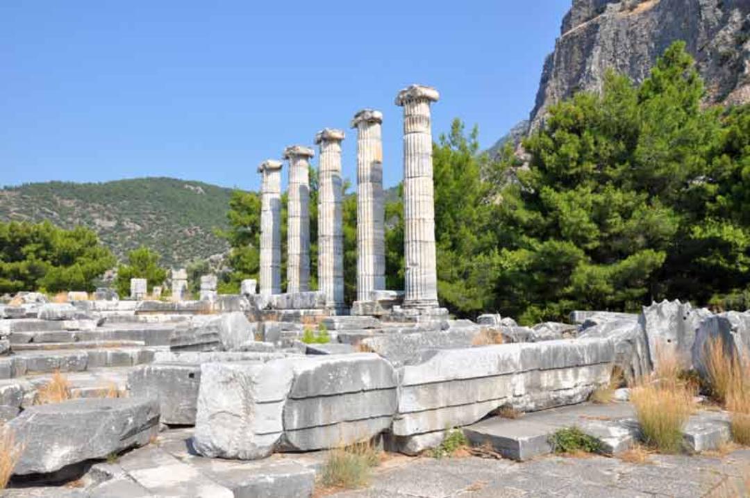 Priene کوش آداسی