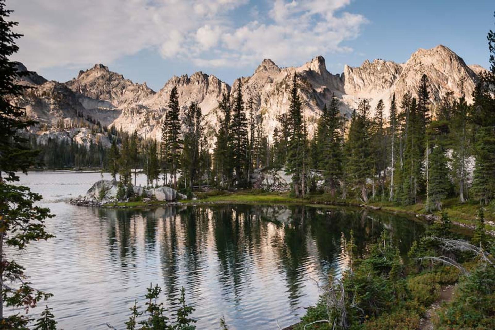 جنگل ملی Sawtooth