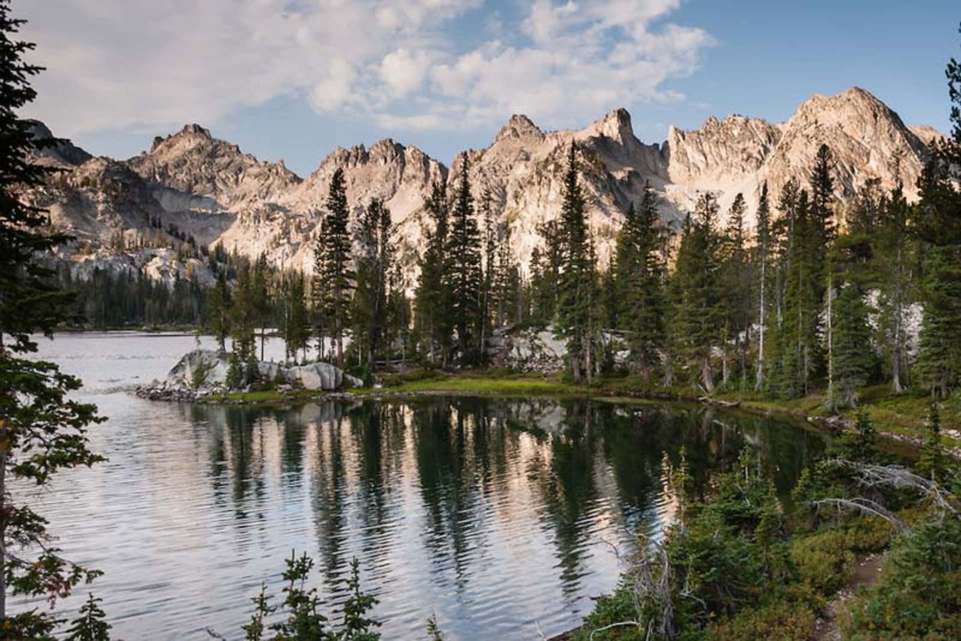 جنگل ملی Sawtooth