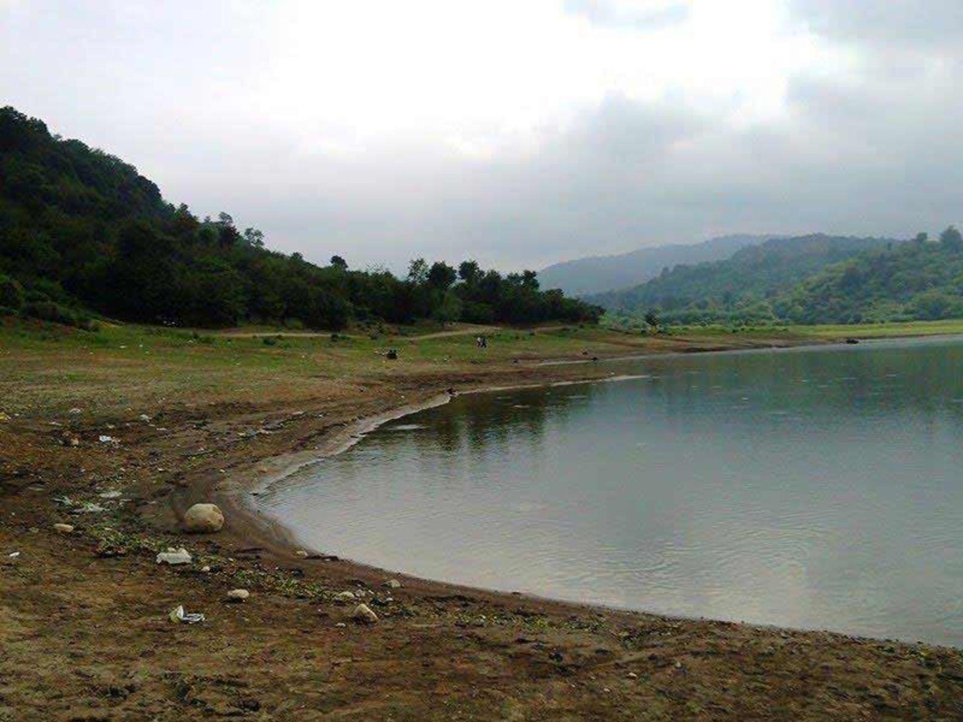 جنگل شیاده
