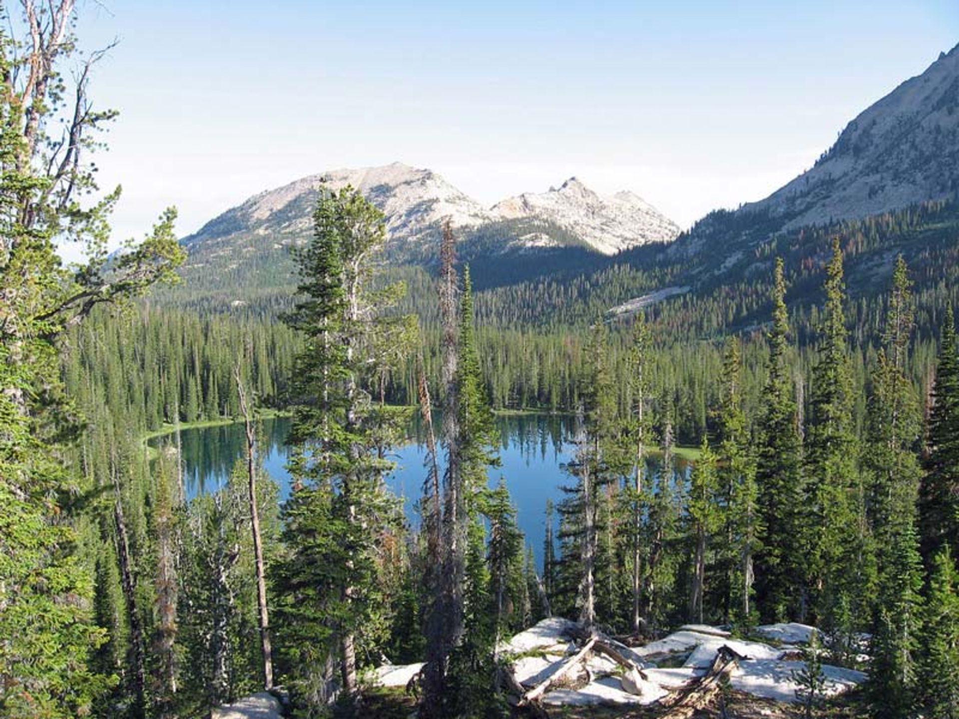 جنگل ملی Sawtooth