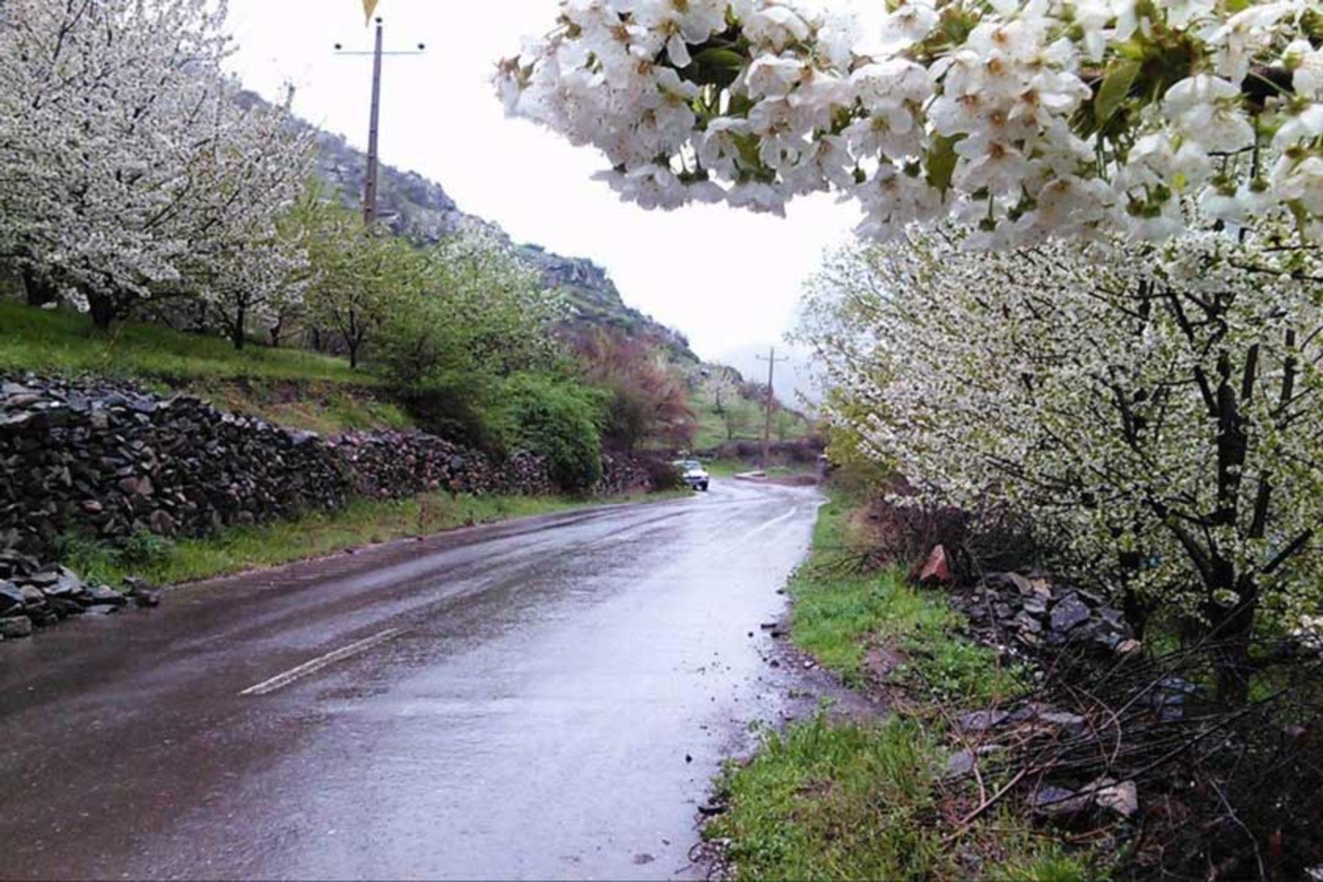روستای شیت