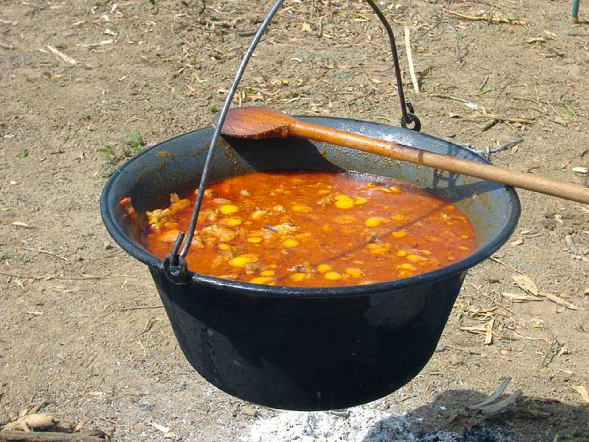 گولاش