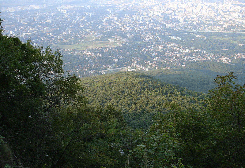 ویتوشا بلغارستان