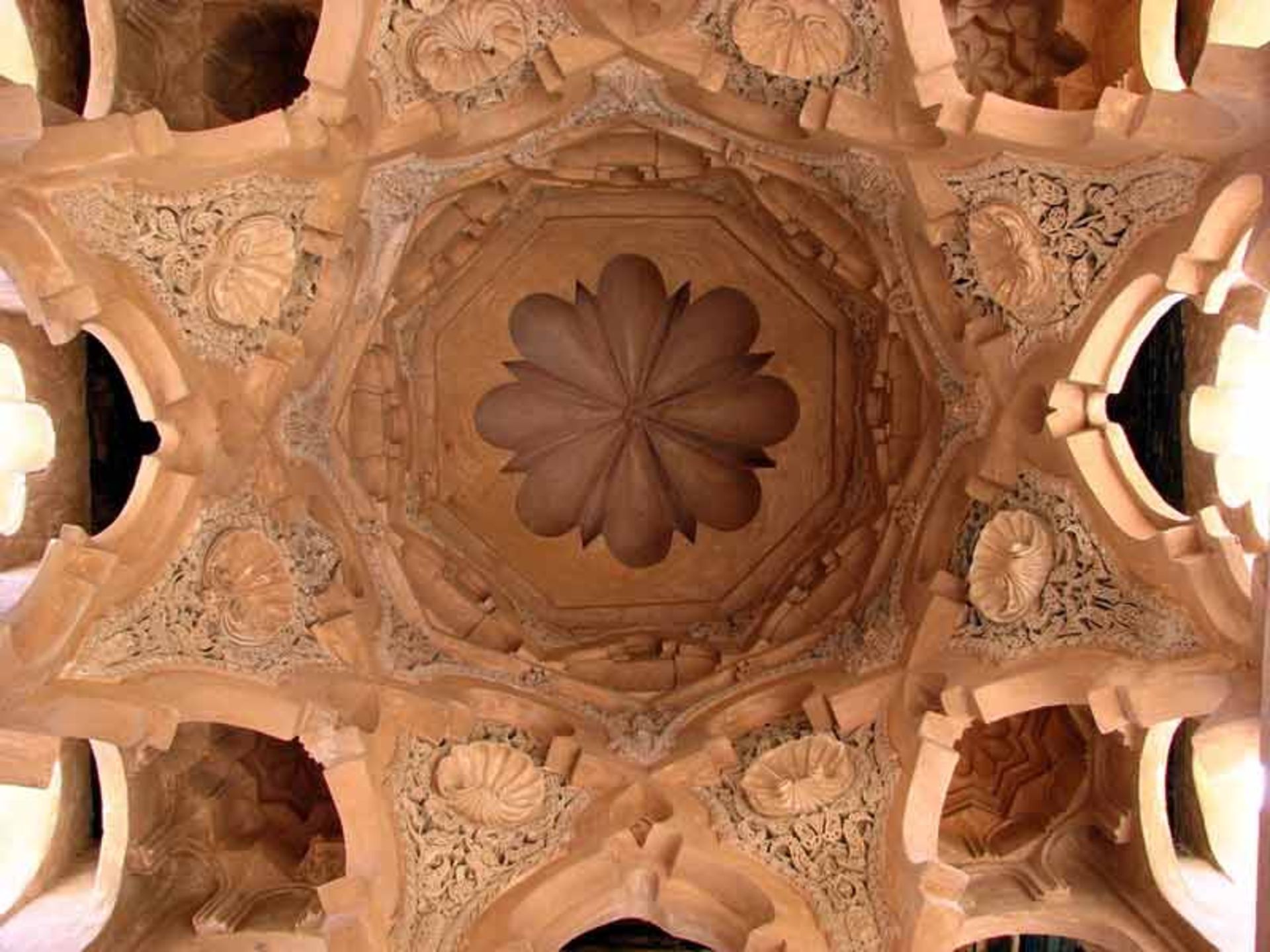 المراوید کوبا